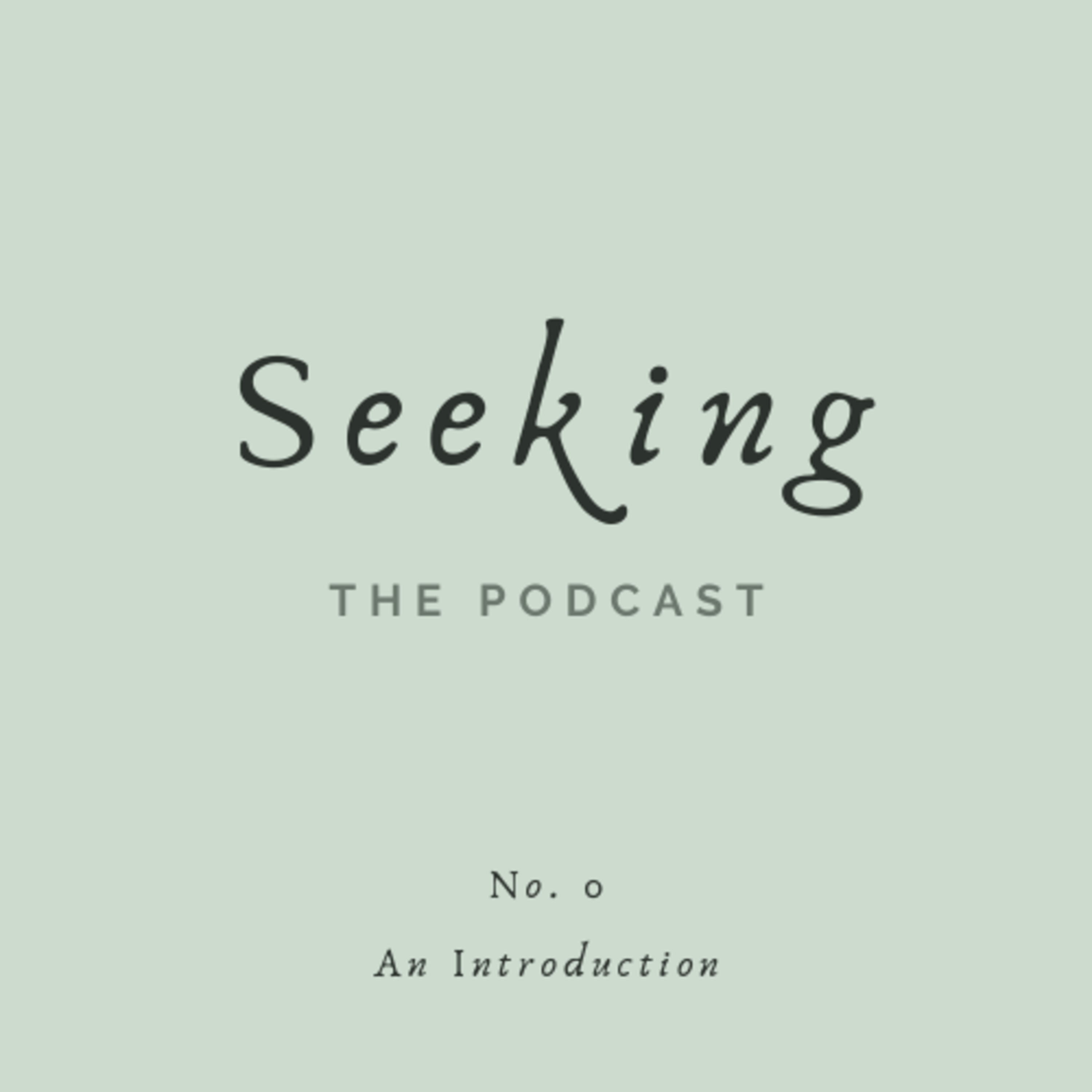 Seeking: An Introduction