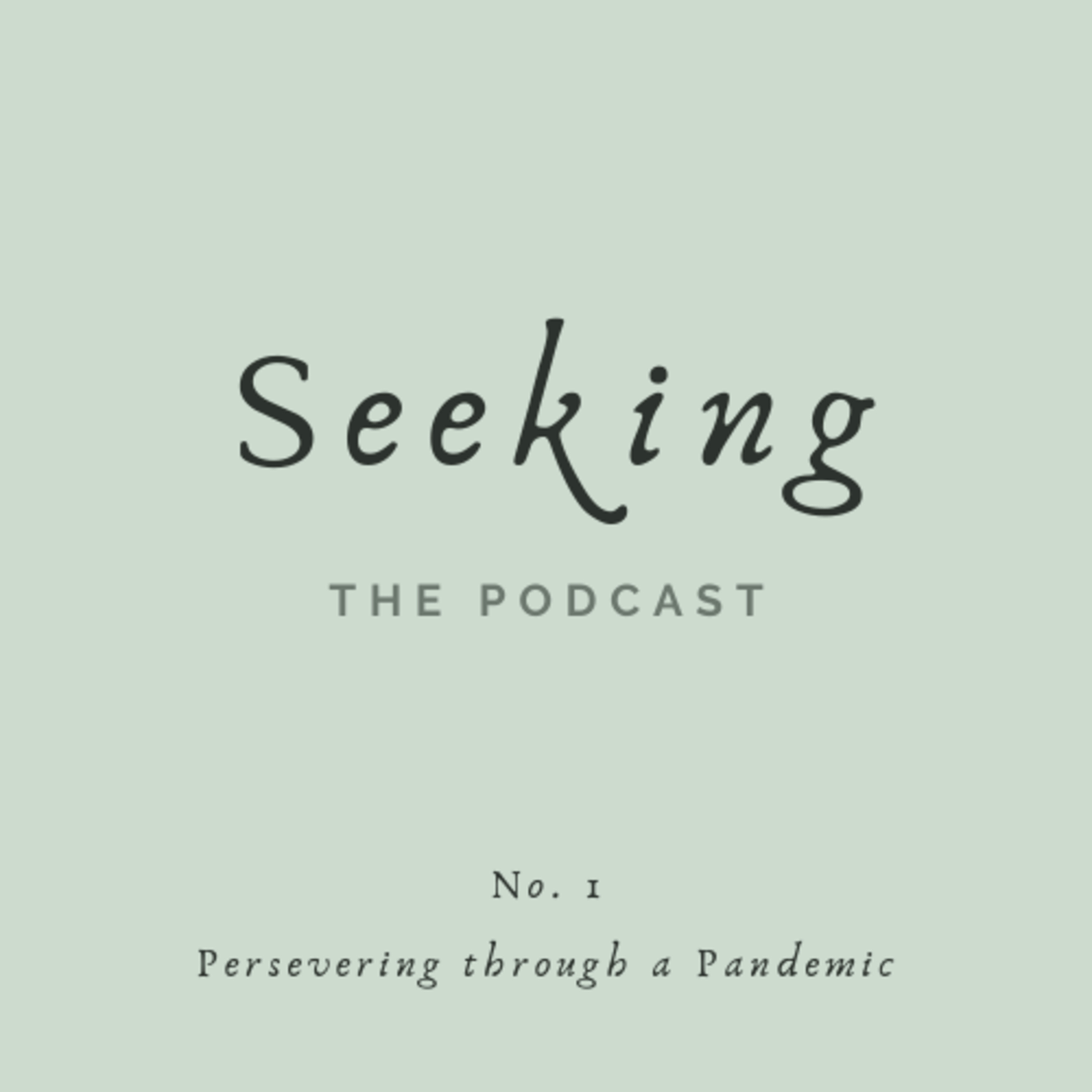Seeking: Persevering through a Pandemic