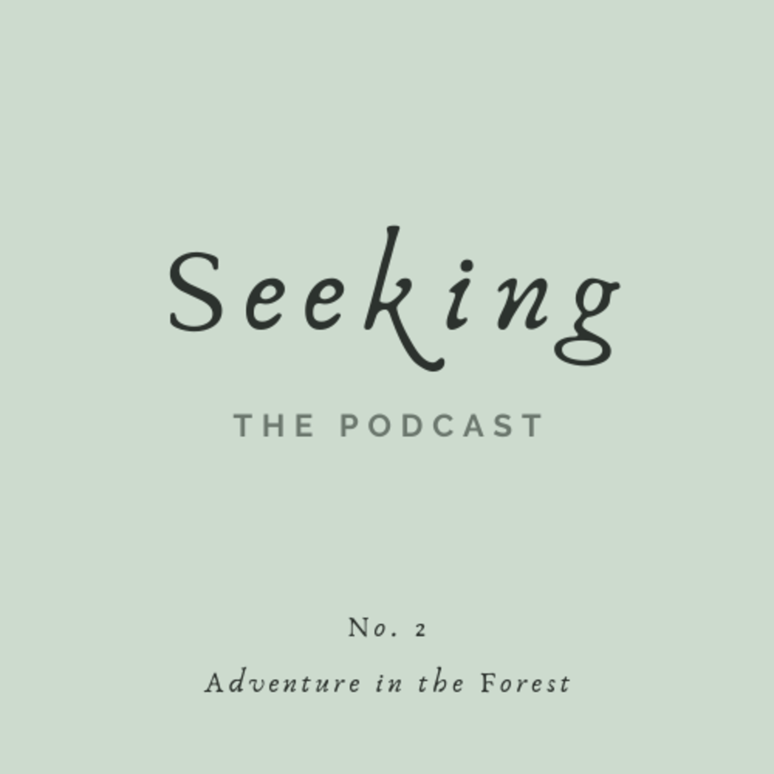 Seeking: Adventure in the Forest