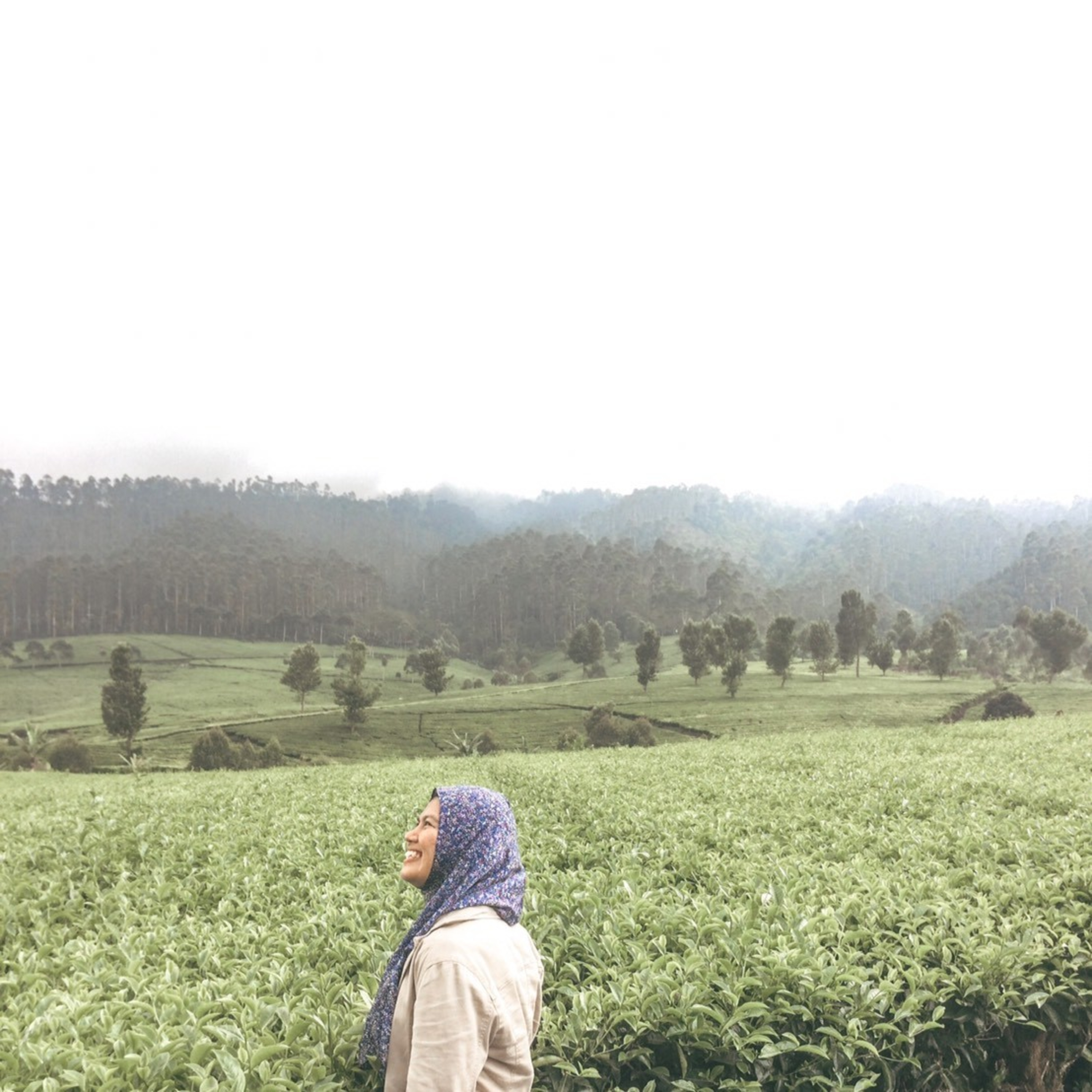 Bilik Cerita