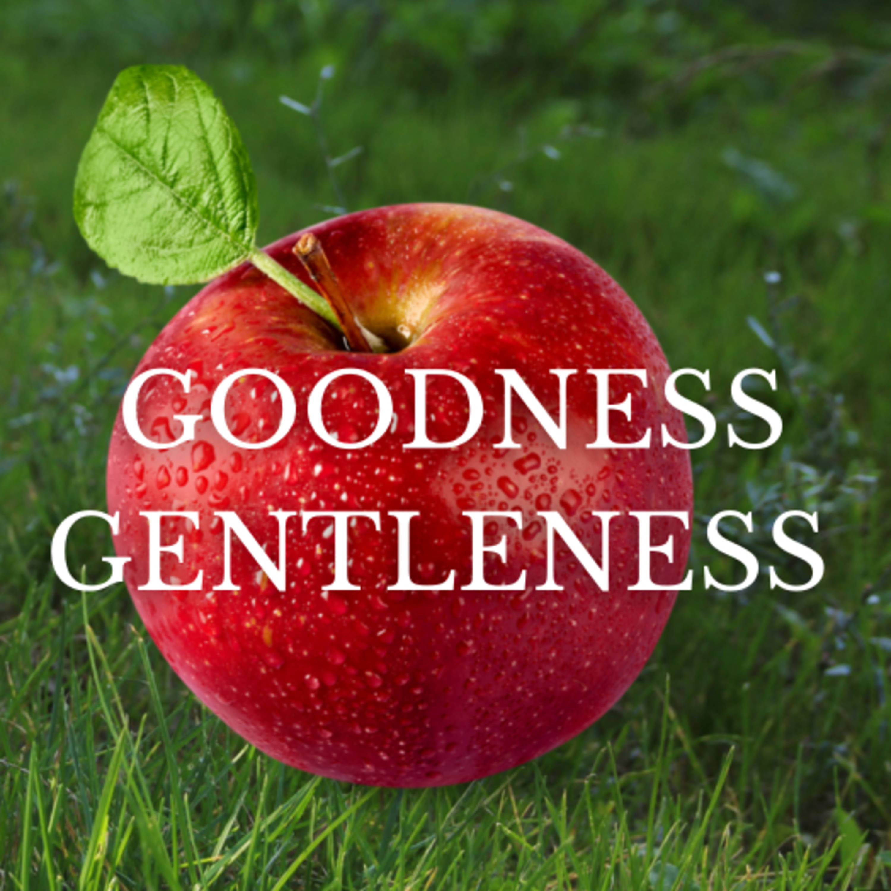 FOTS - Gentleness and Goodness episode artwork