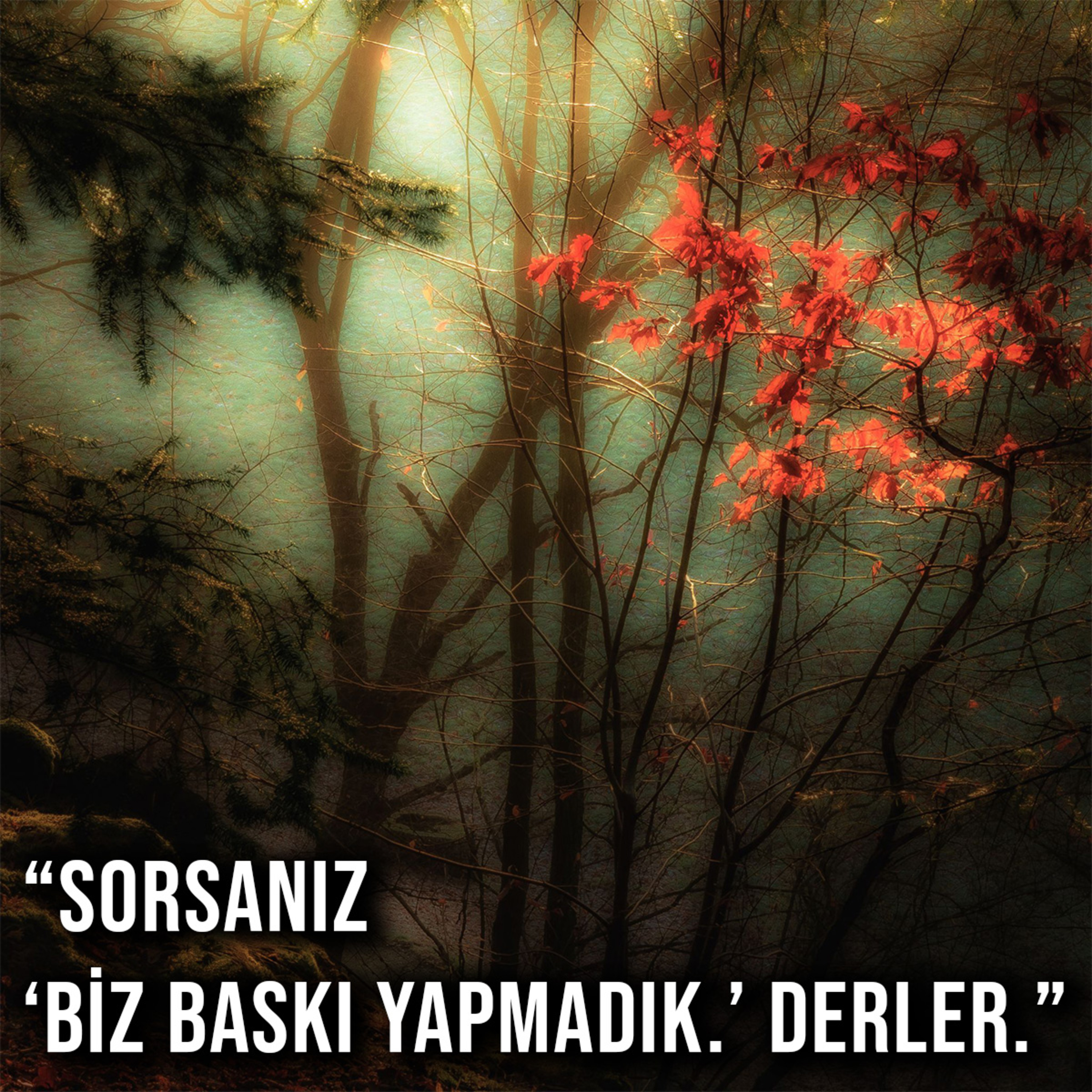 Yalnız Yürümeyeceksin