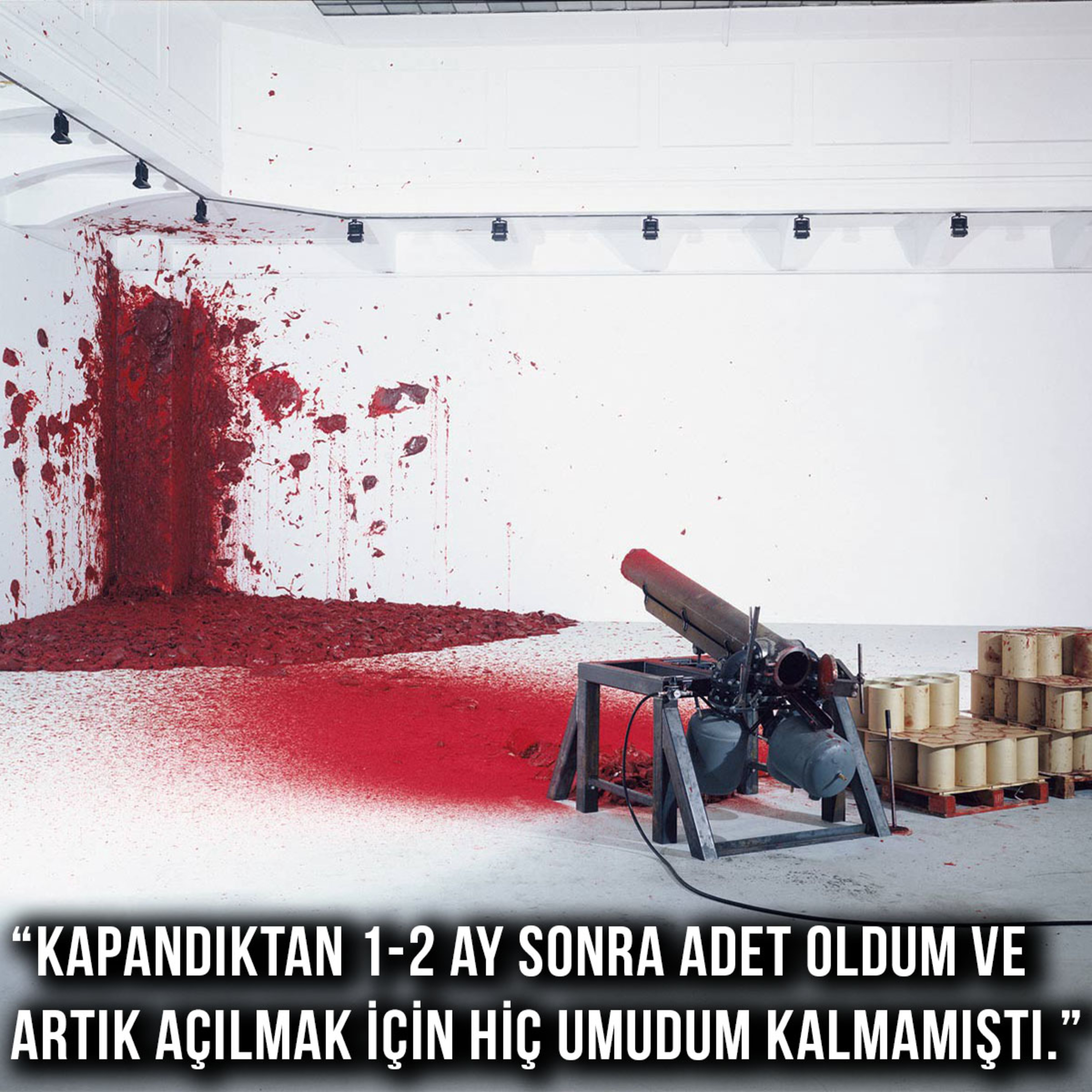 Yalnız Yürümeyeceksin