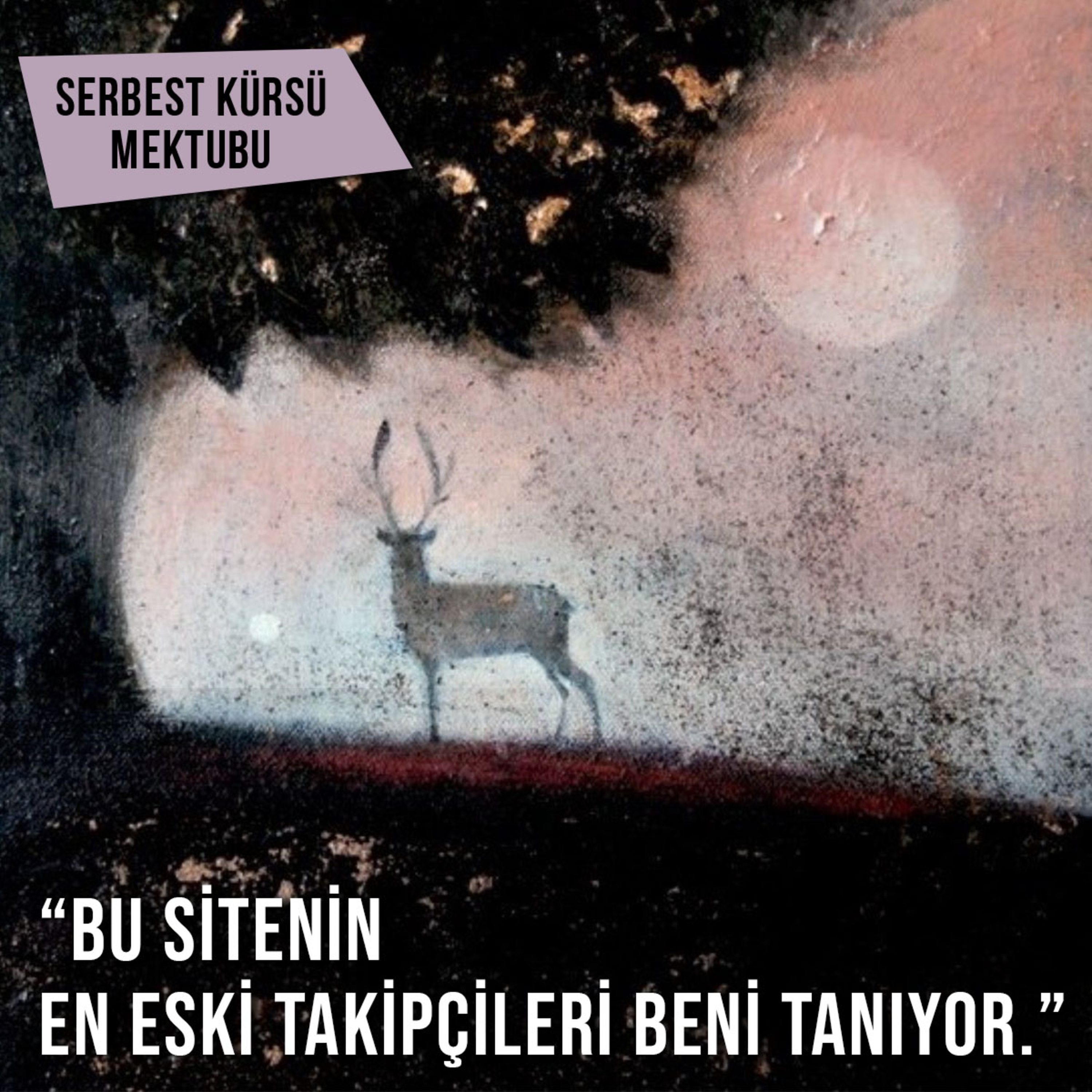Yalnız Yürümeyeceksin