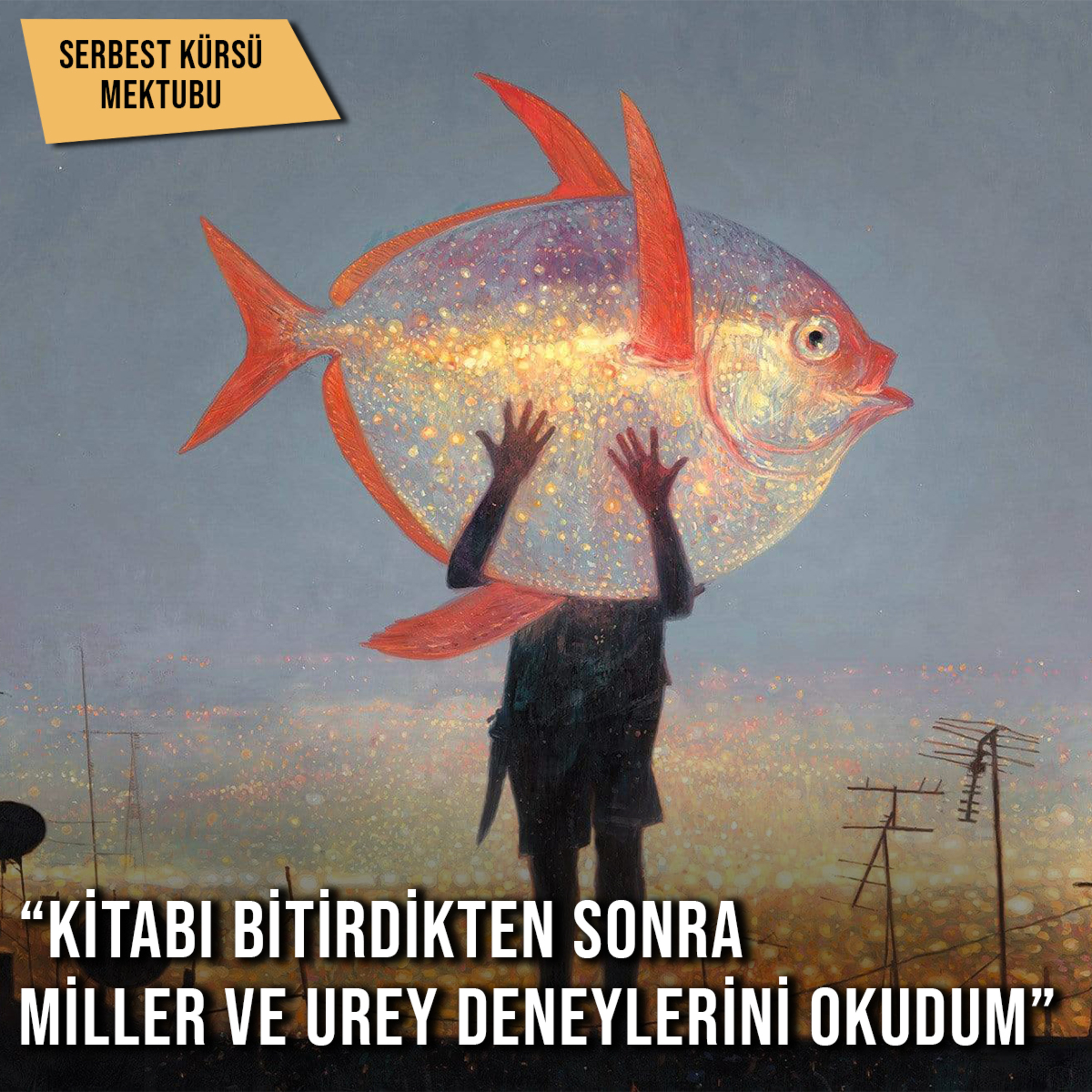 Yalnız Yürümeyeceksin