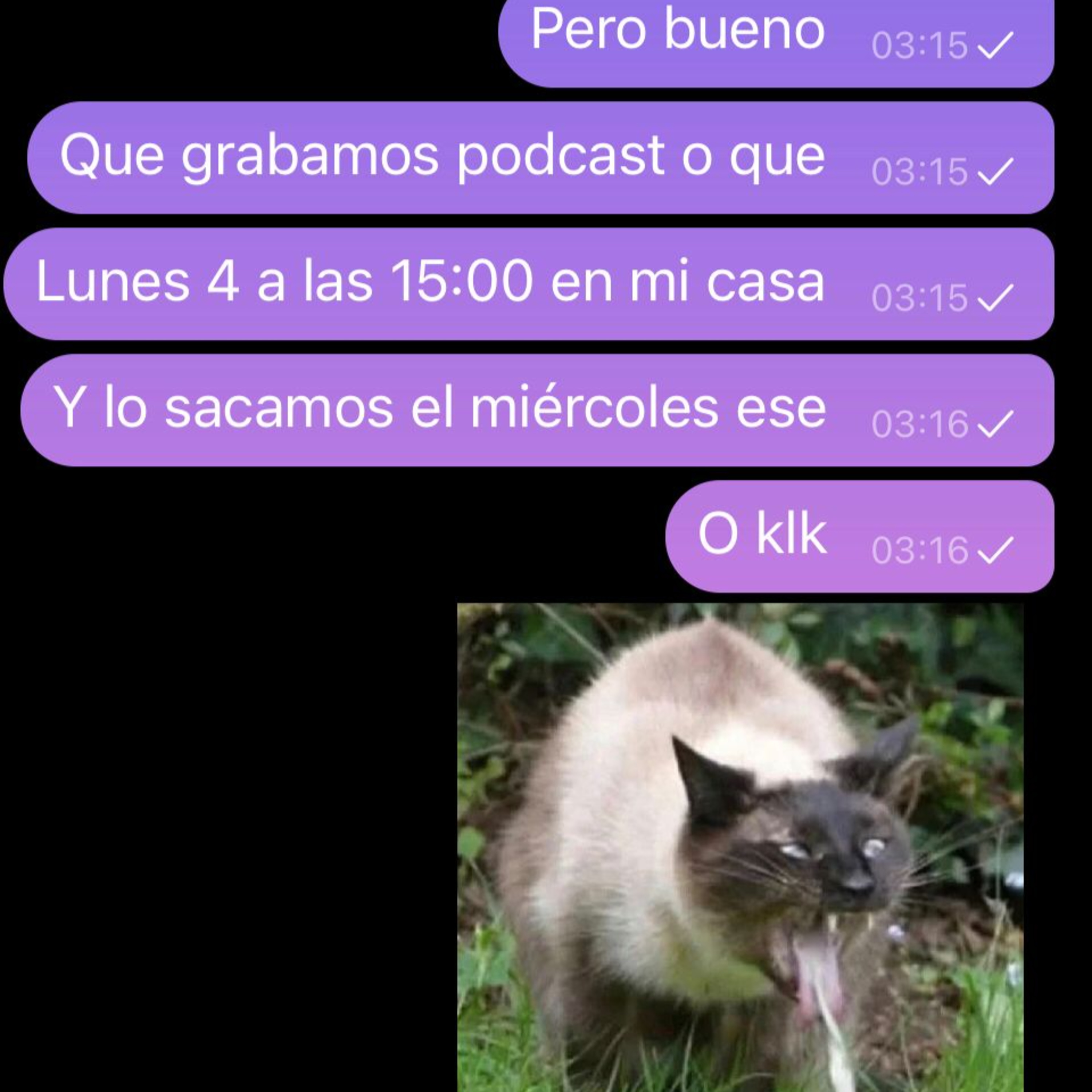 Sopa de Culo