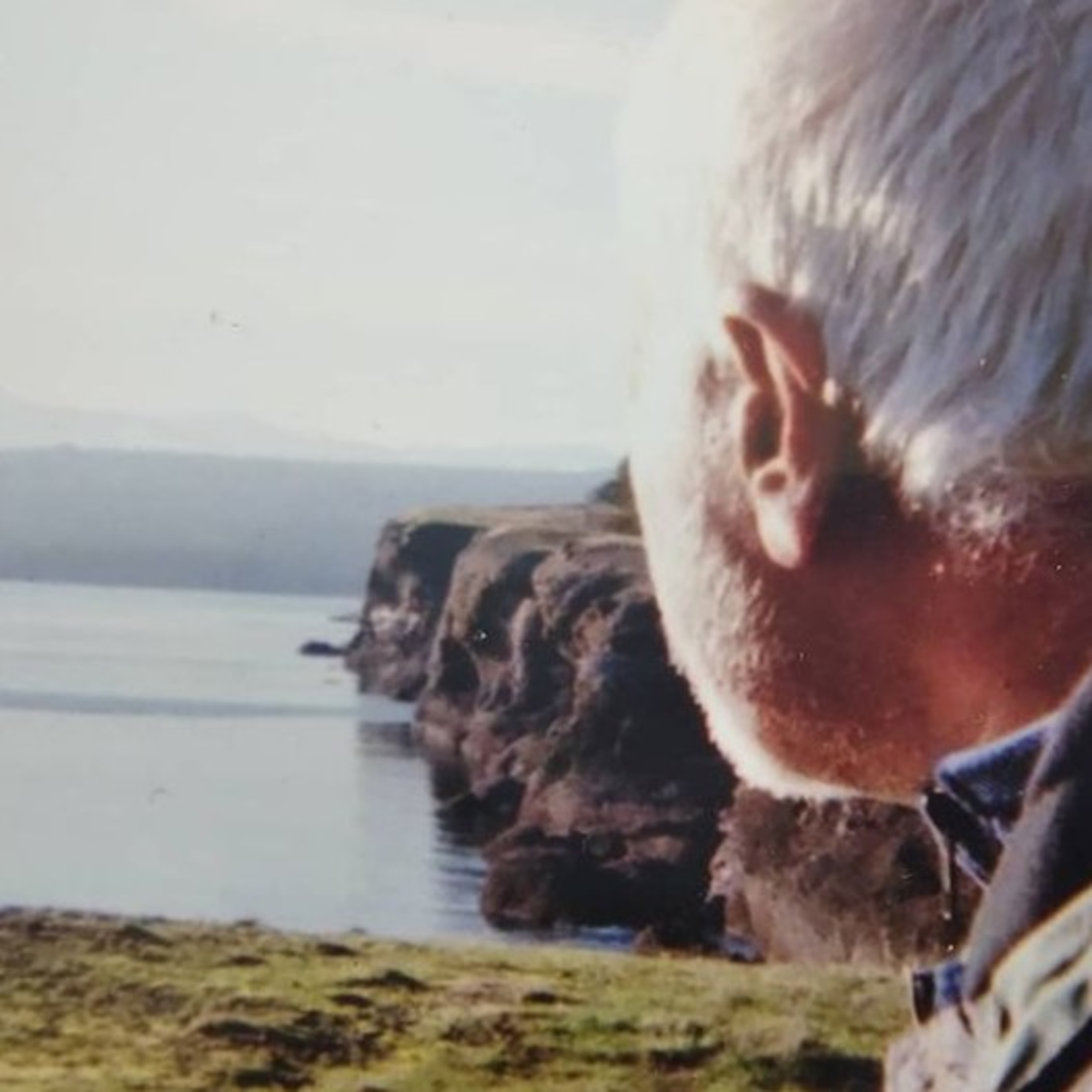 Strength: A Glimpse into Surviving WWII and a British Boarding School and Finding Love Later in Life