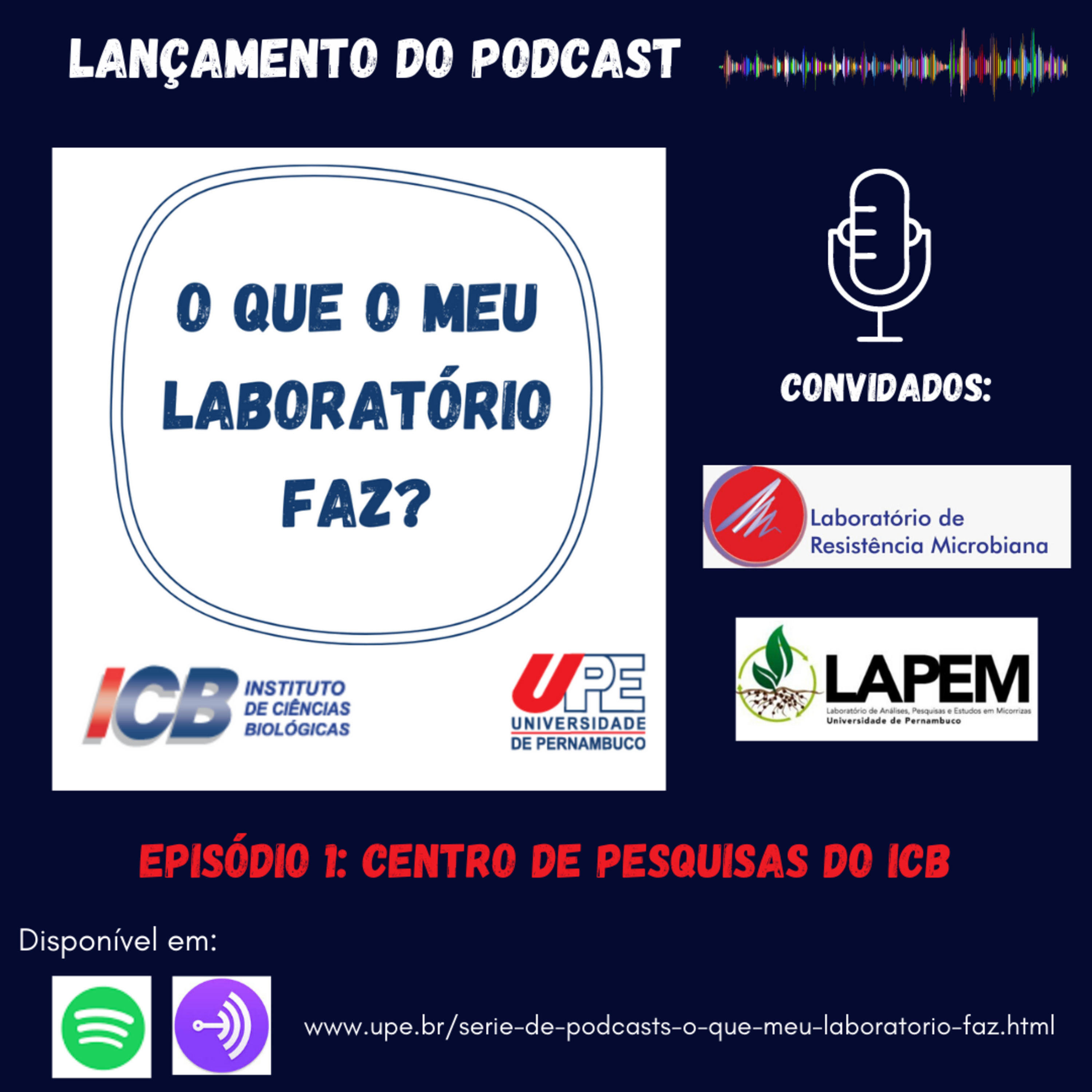 O que o meu laboratório faz?