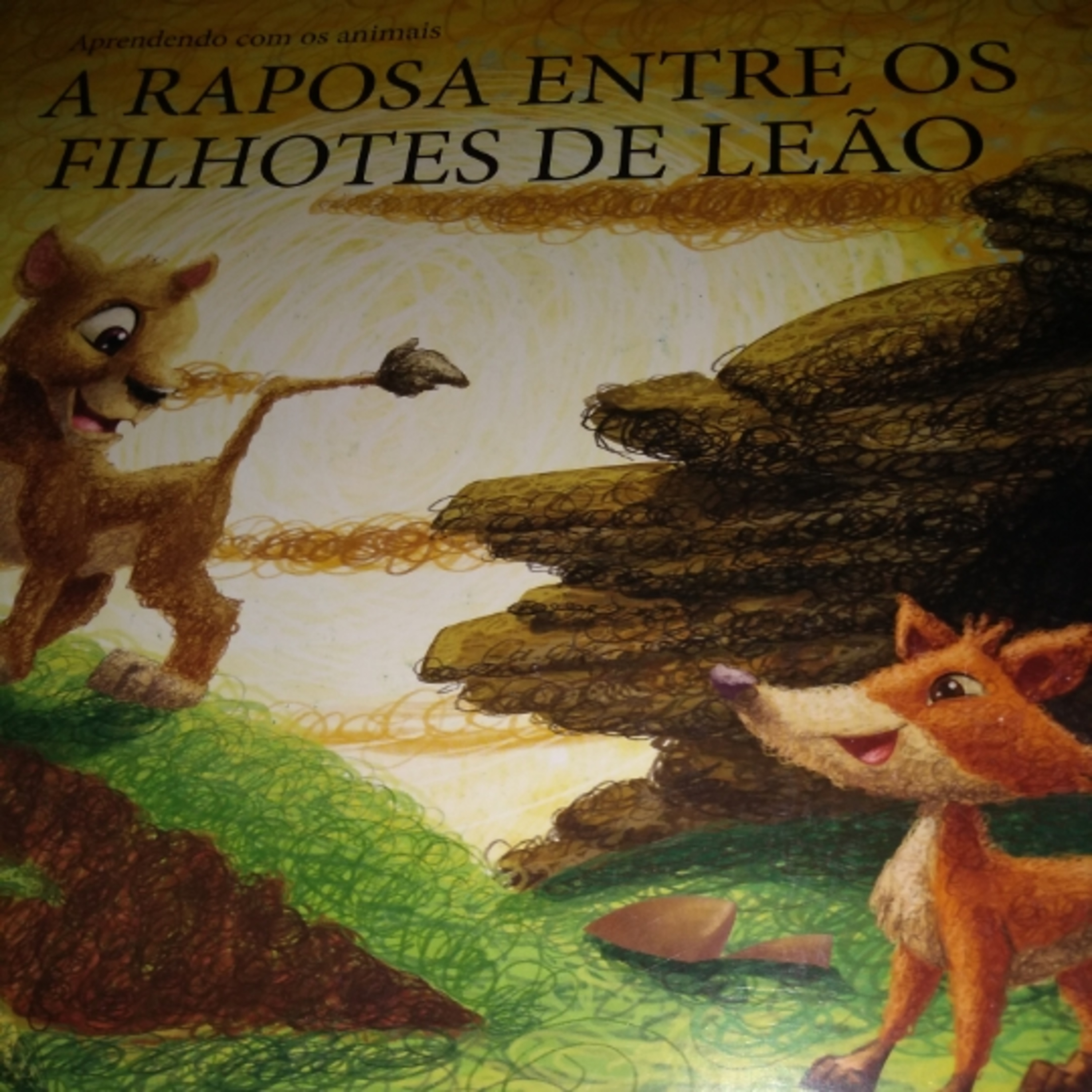 Os Dez Sacizinhos.