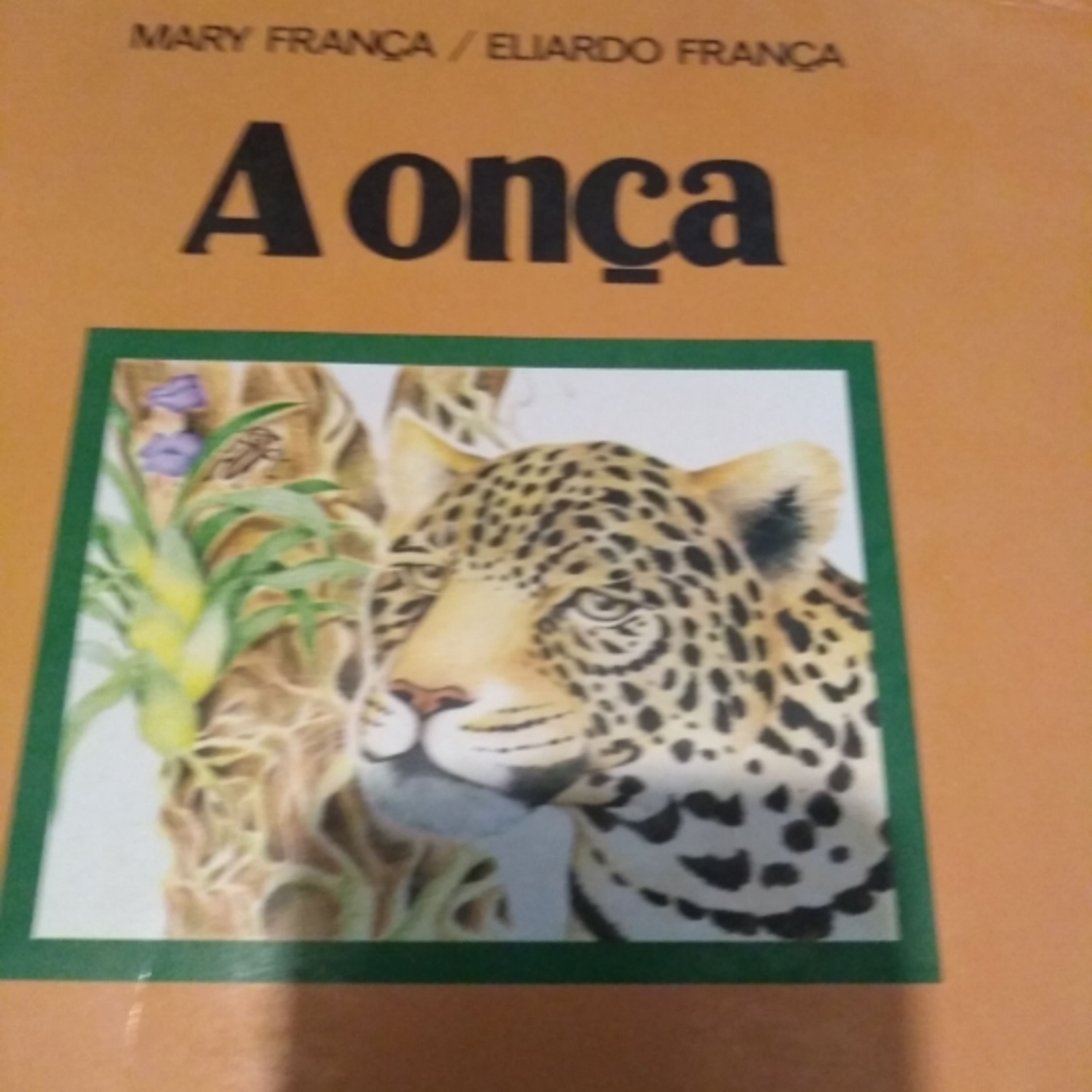 Os Dez Sacizinhos.