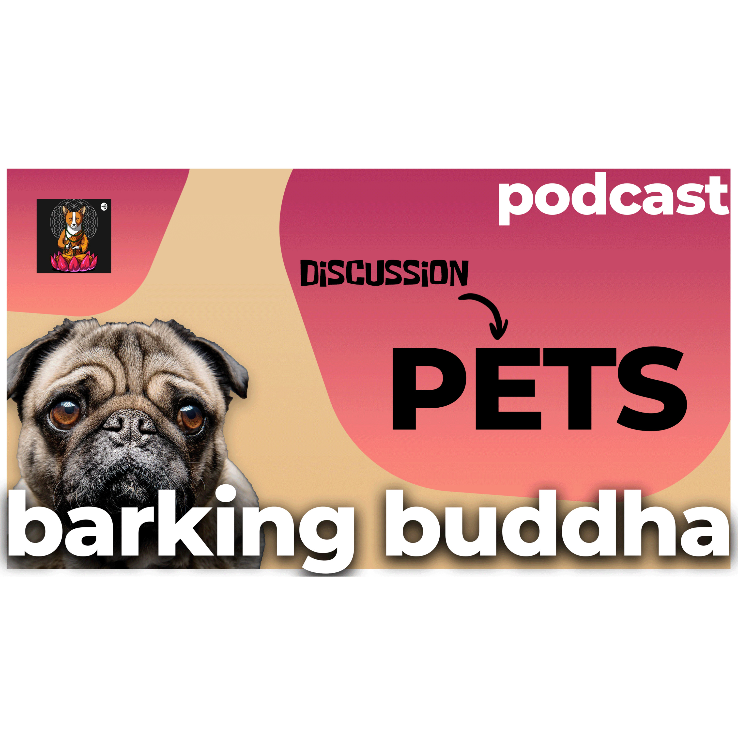 Let's talk Pets (in Tamil) episode artwork