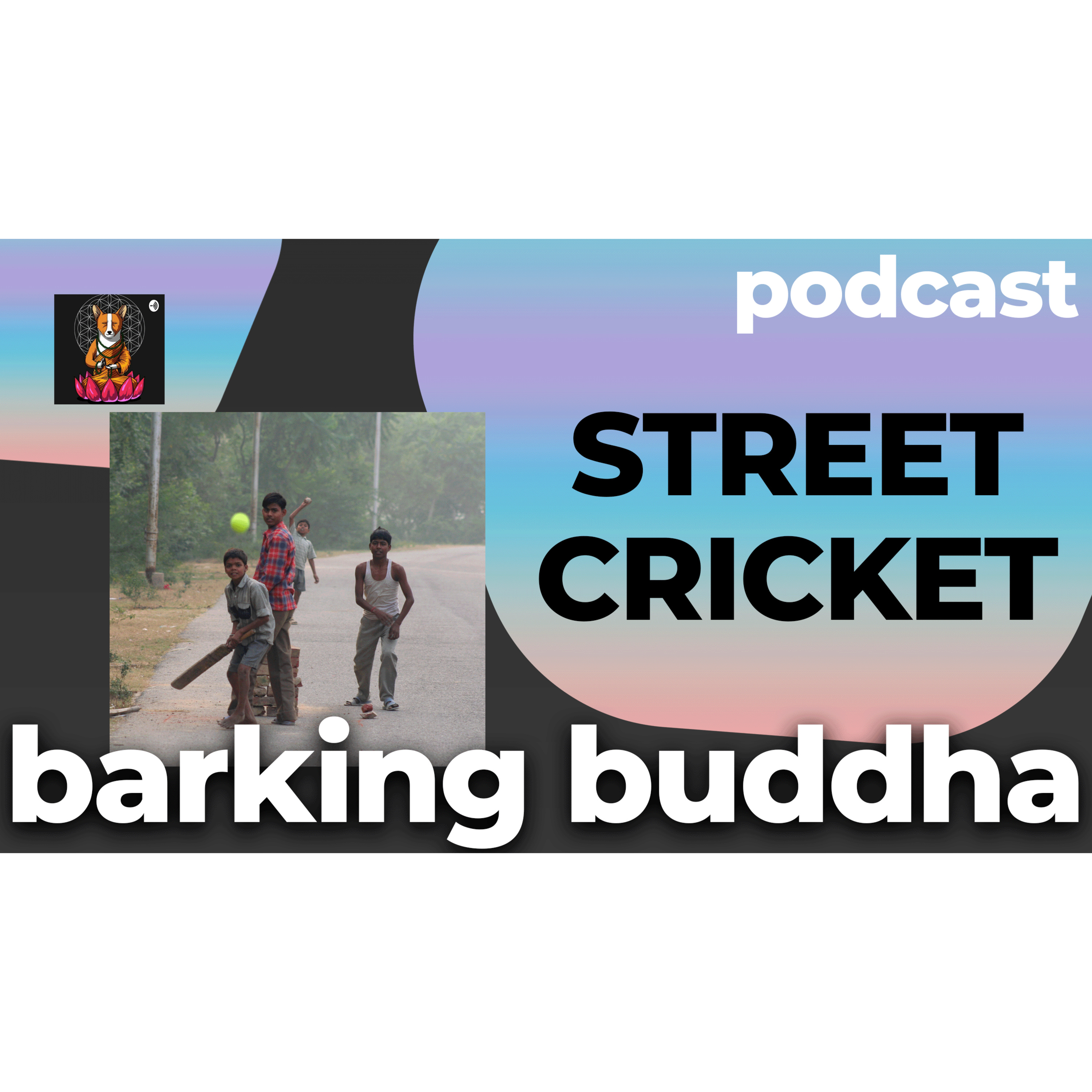 Street Cricket (in Tamil) episode artwork