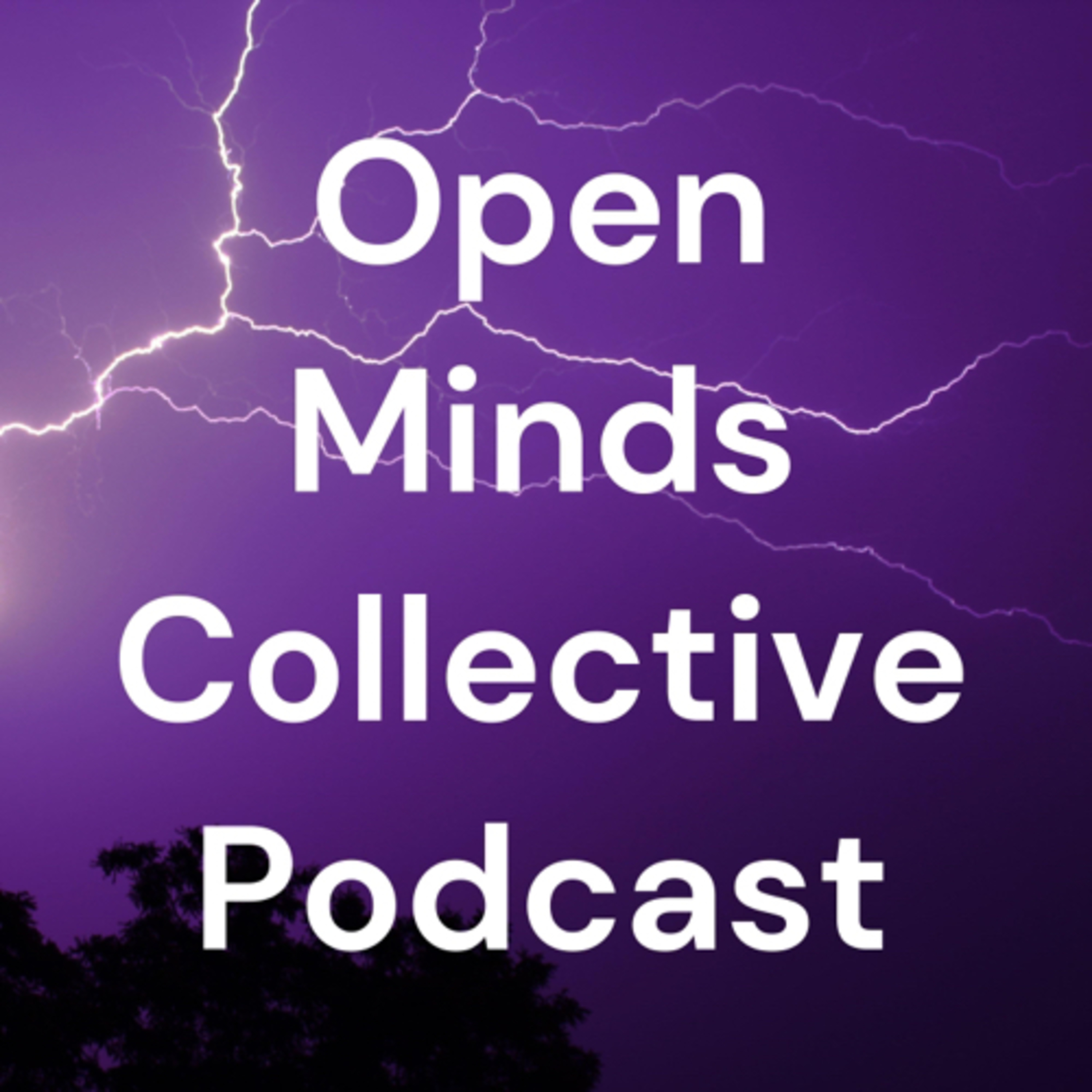 Open Minds Collective Podcast