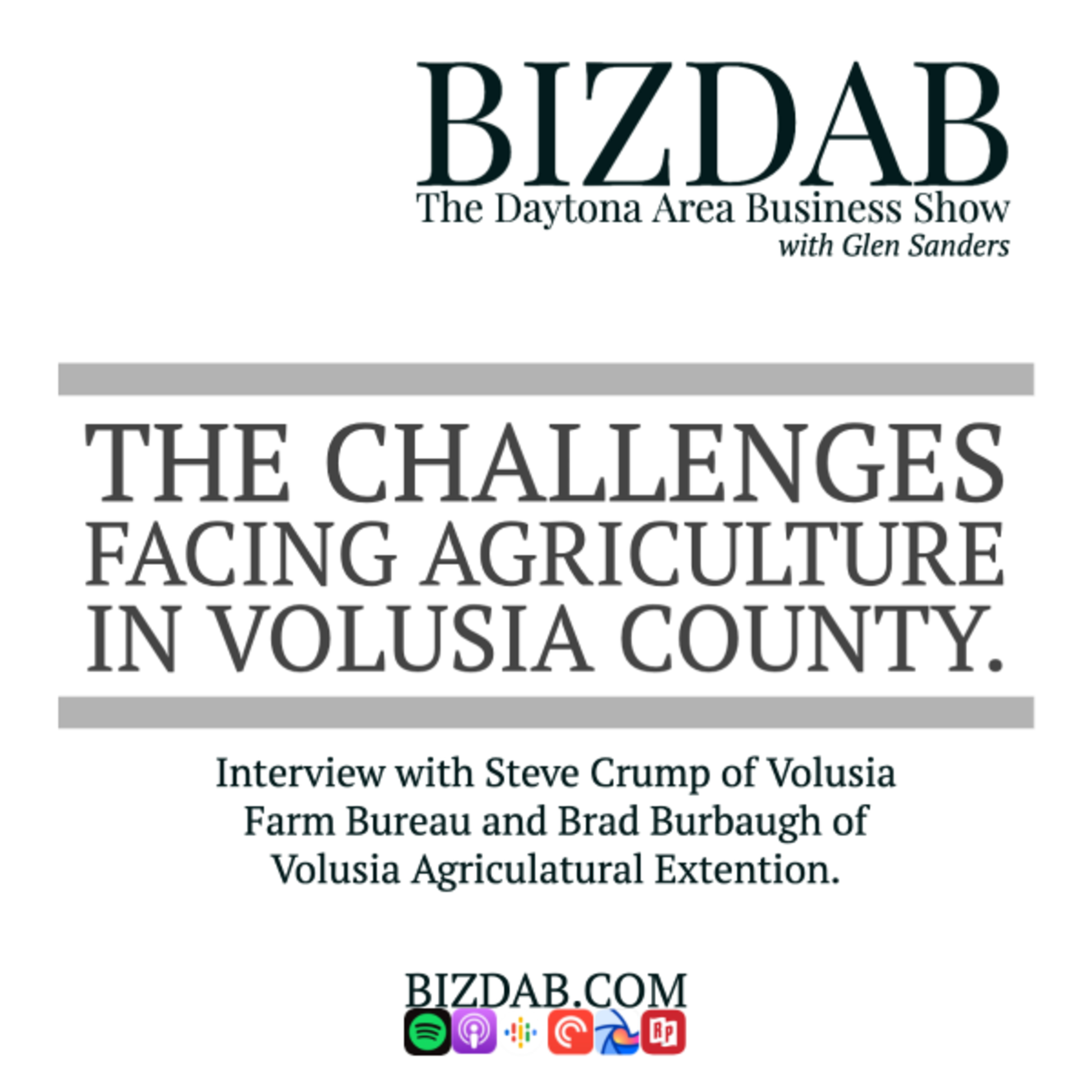 BIZDAB