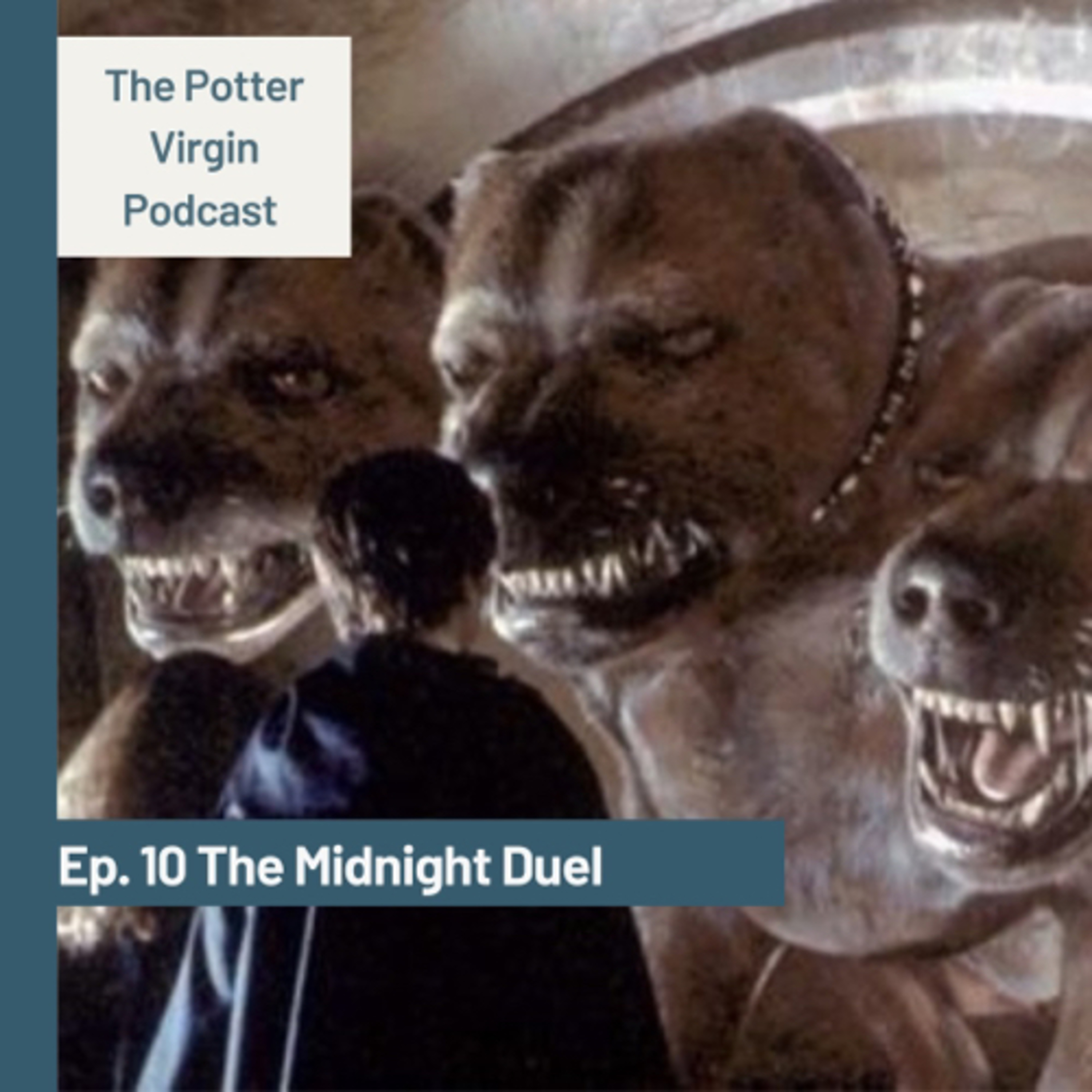 The Potter Virgin