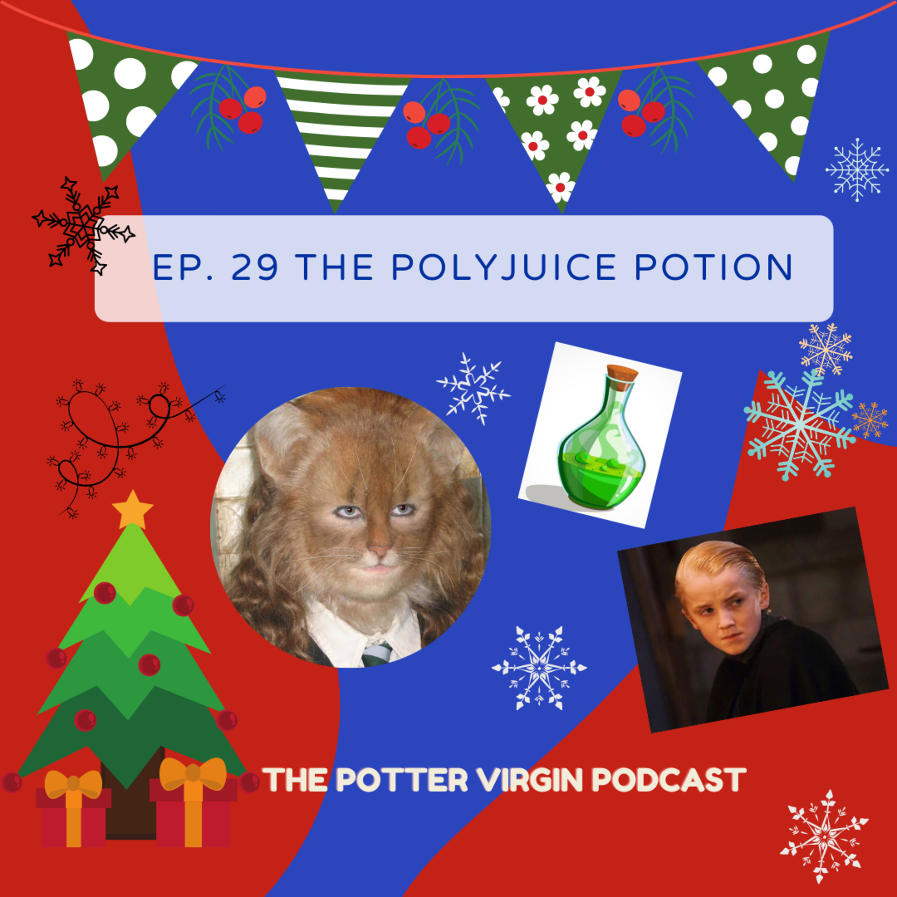 The Potter Virgin