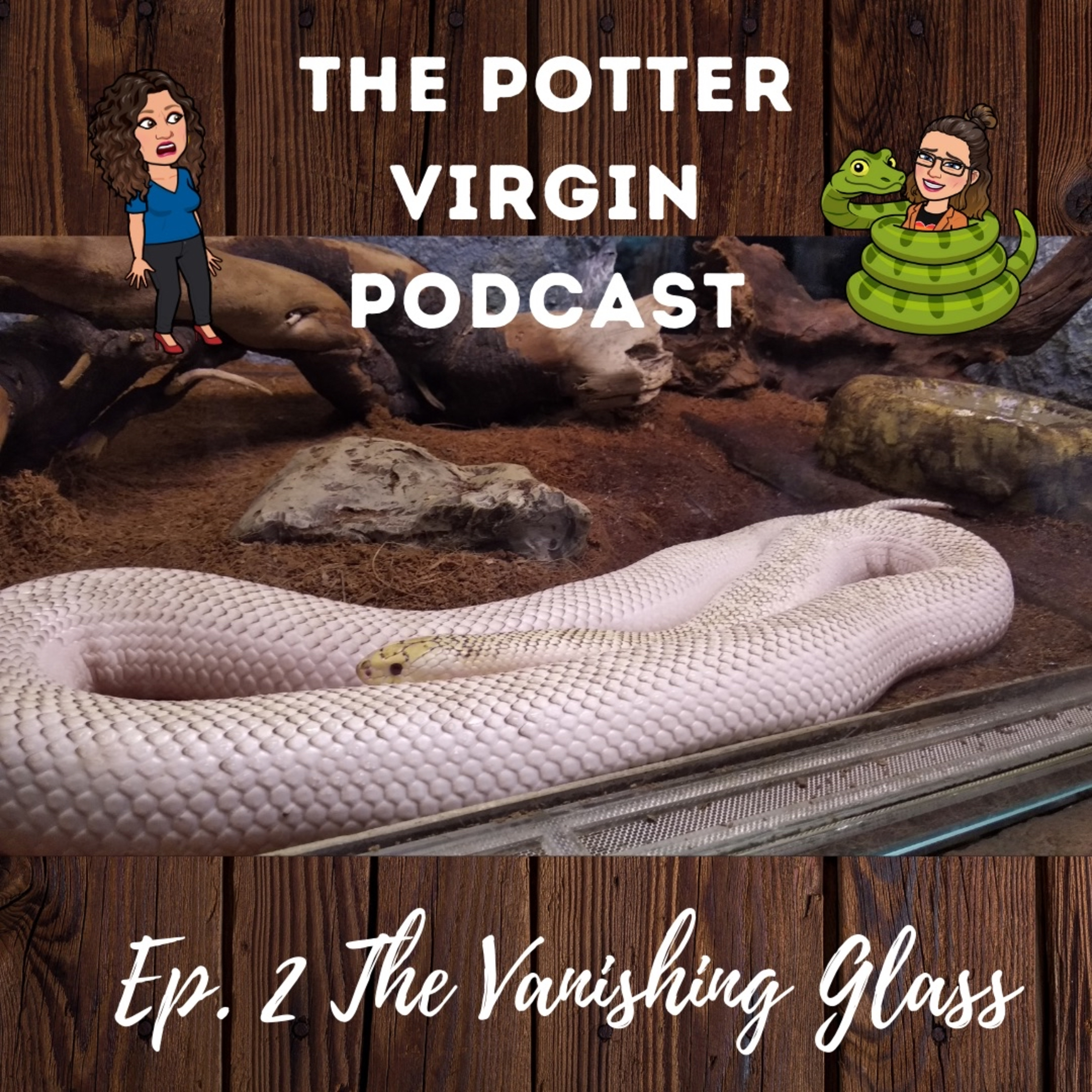 The Potter Virgin