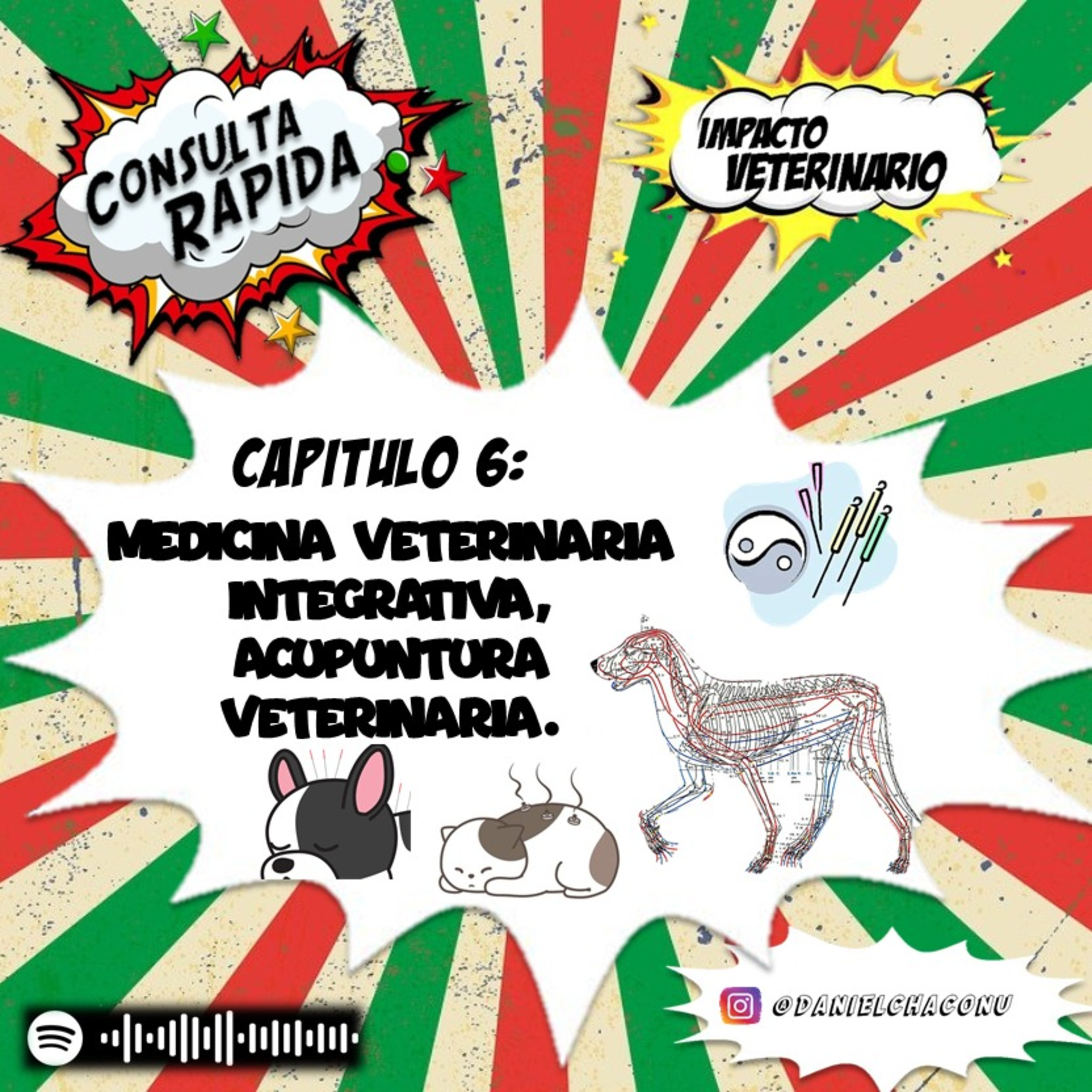 Impacto Veterinario