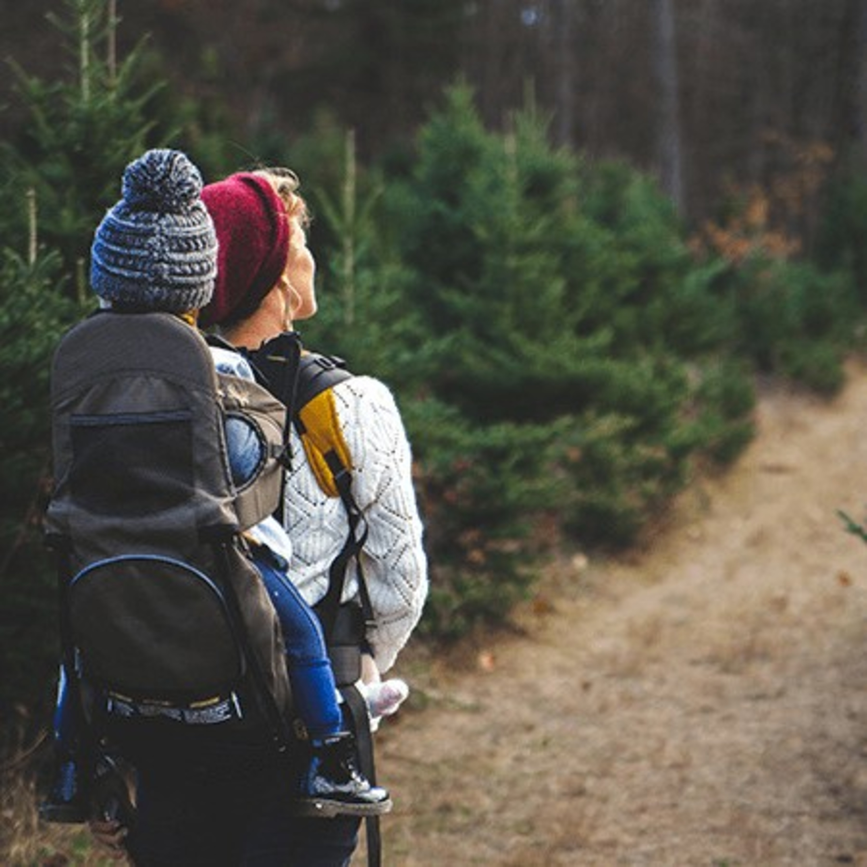 Geocaching in 100 Sekunden