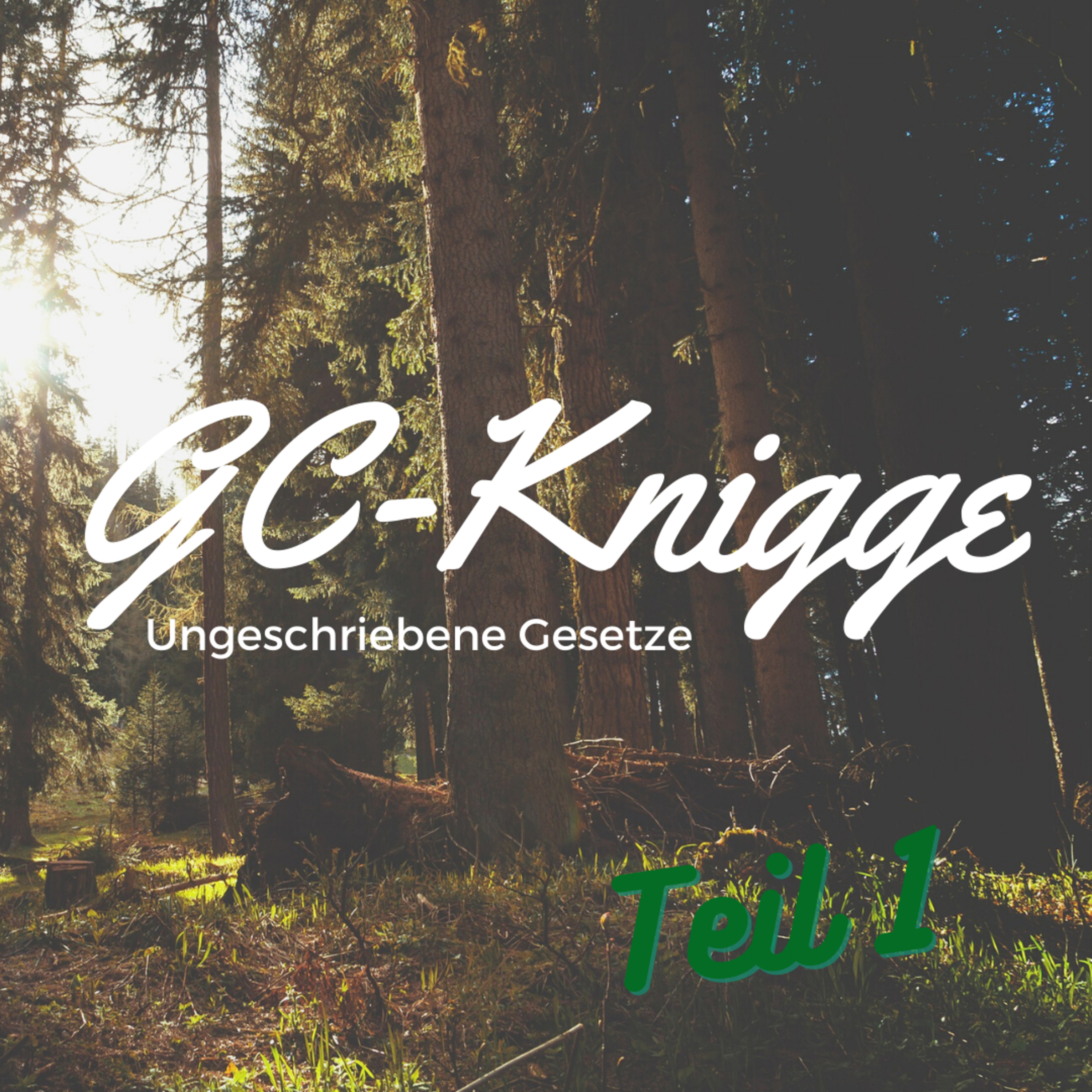 Geocaching in 100 Sekunden