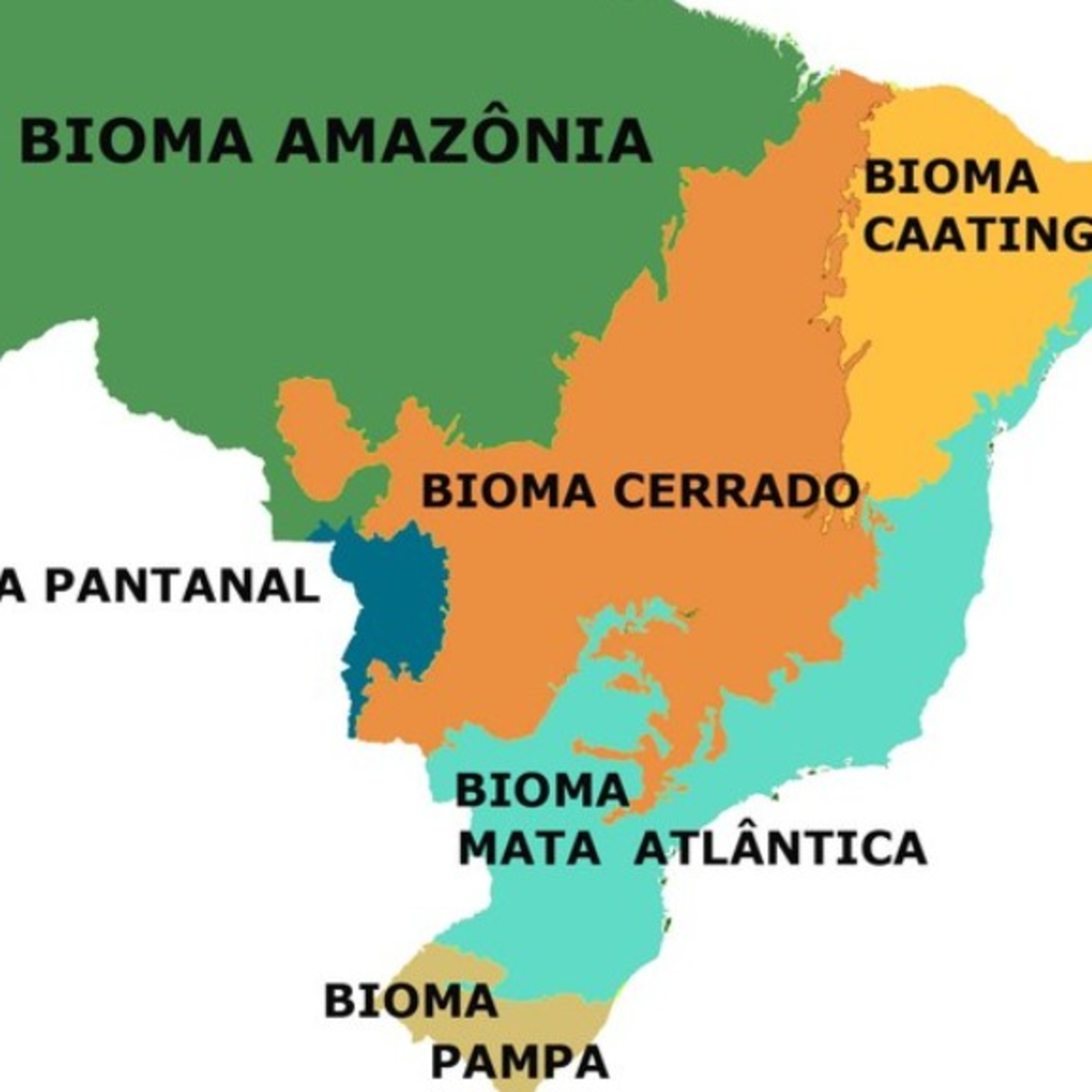 Ciências em Áudio