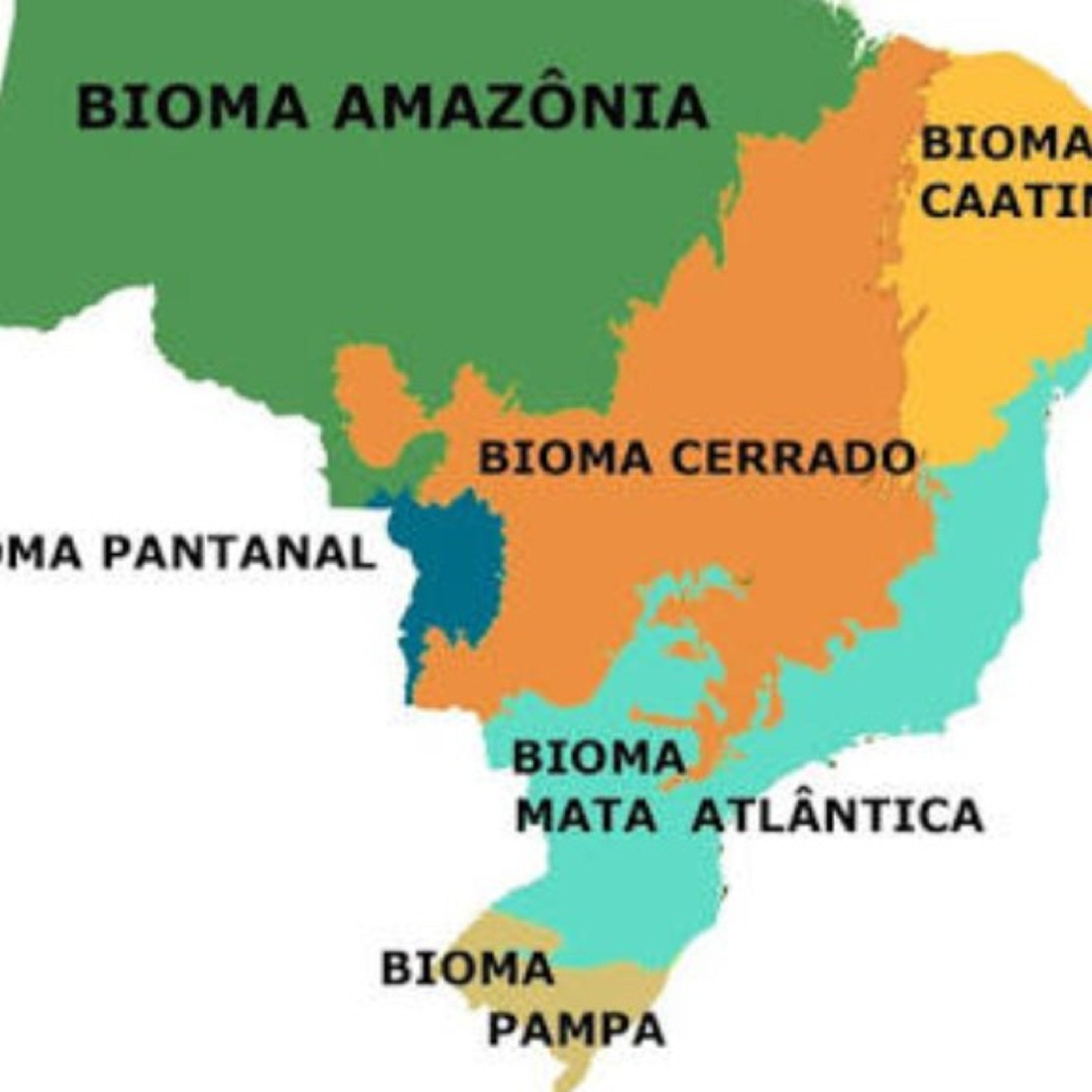 Ciências em Áudio