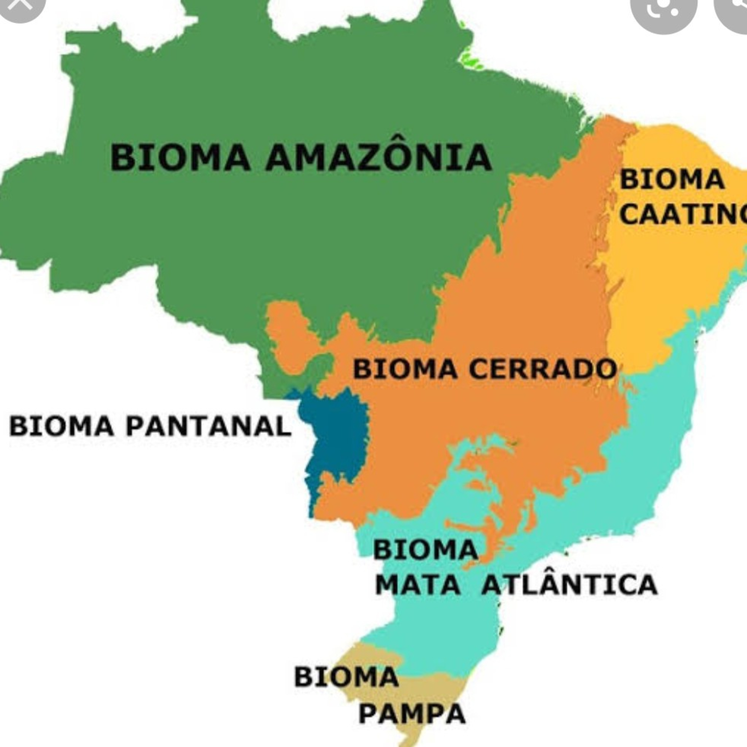 Ciências em Áudio