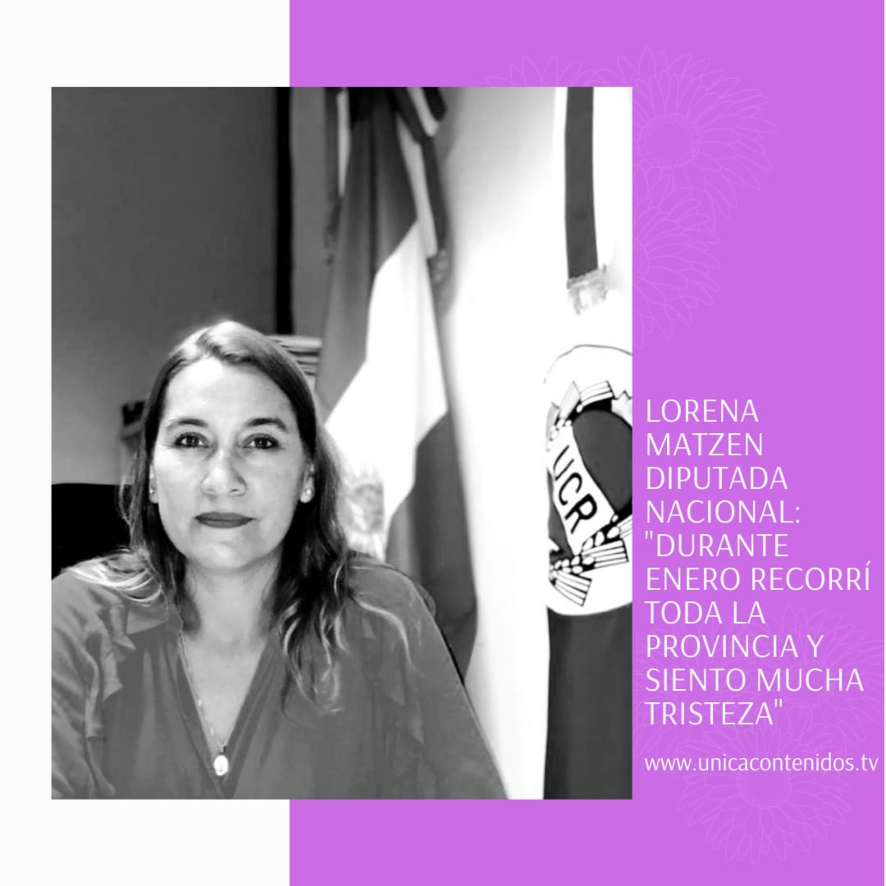 Unica Contenidos