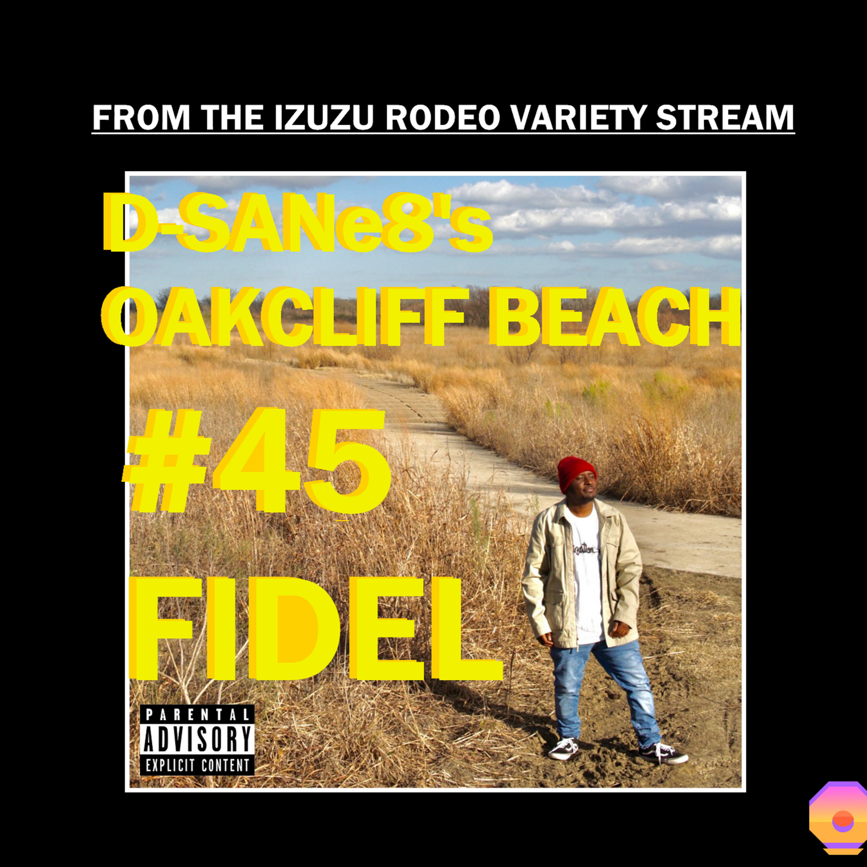 D-SANe8's Oakcliff Beach #45 - FIDEL episode artwork