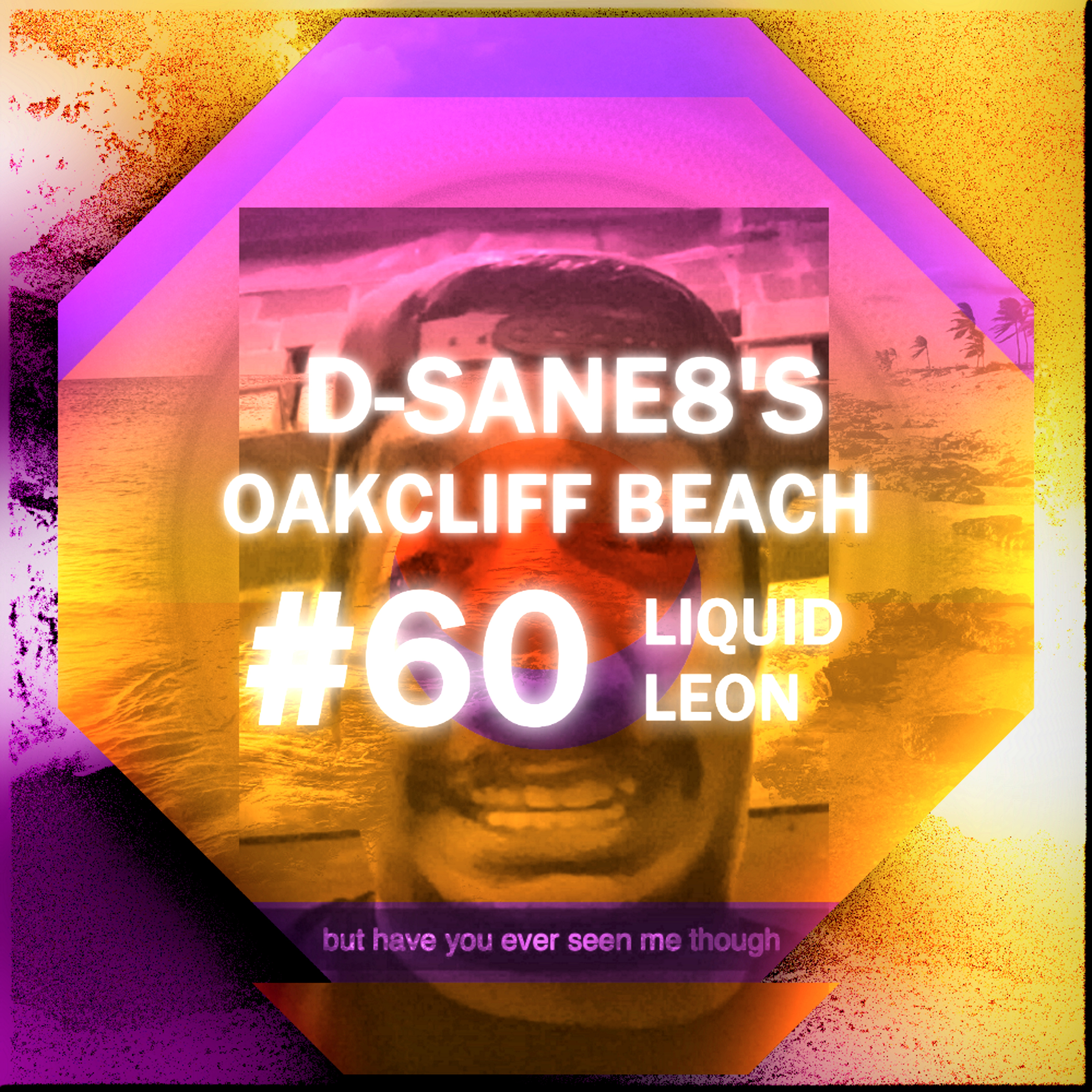 D-SANe8's Oakcliff Beach #60 - Liquid Leon episode artwork