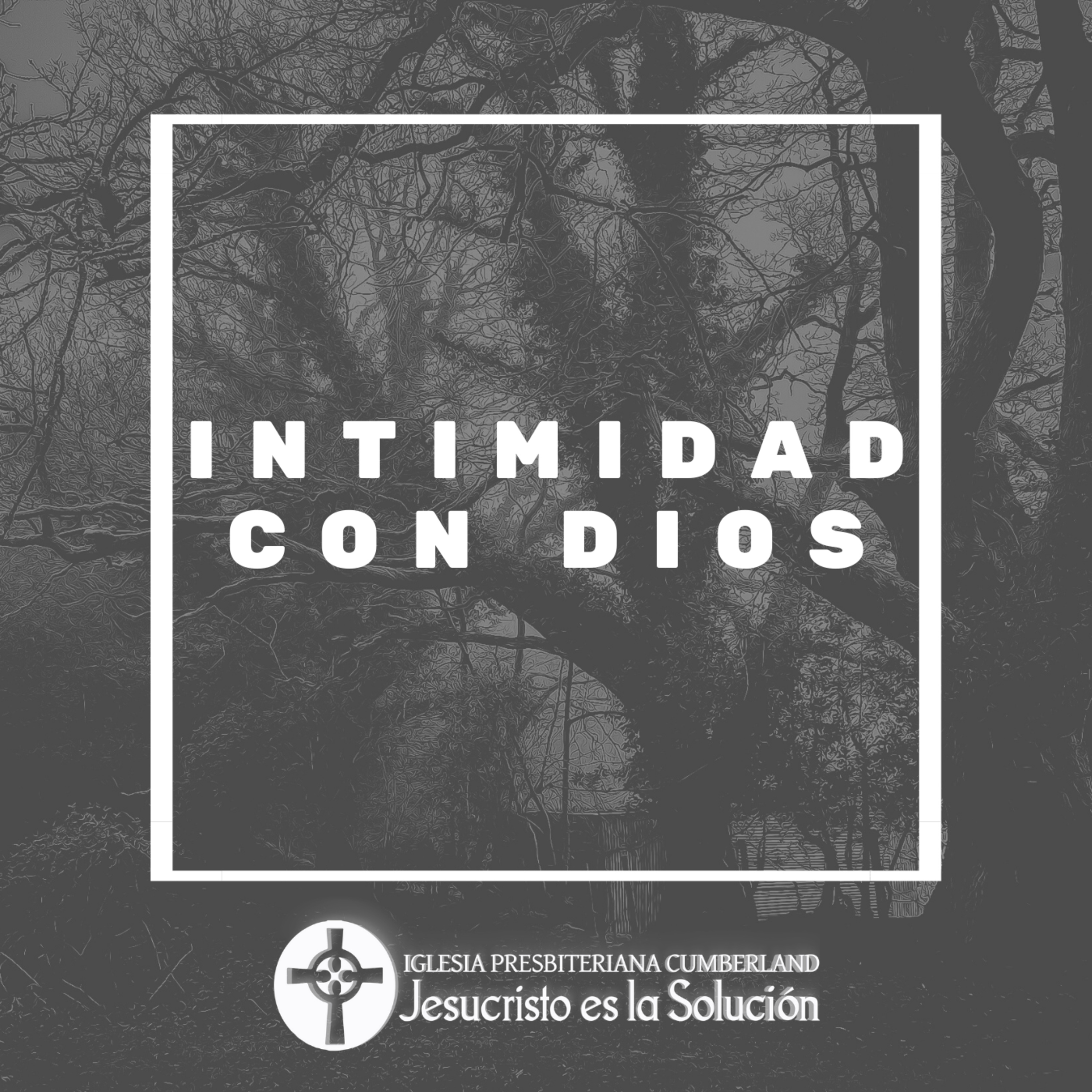 Jesucristo es la solución