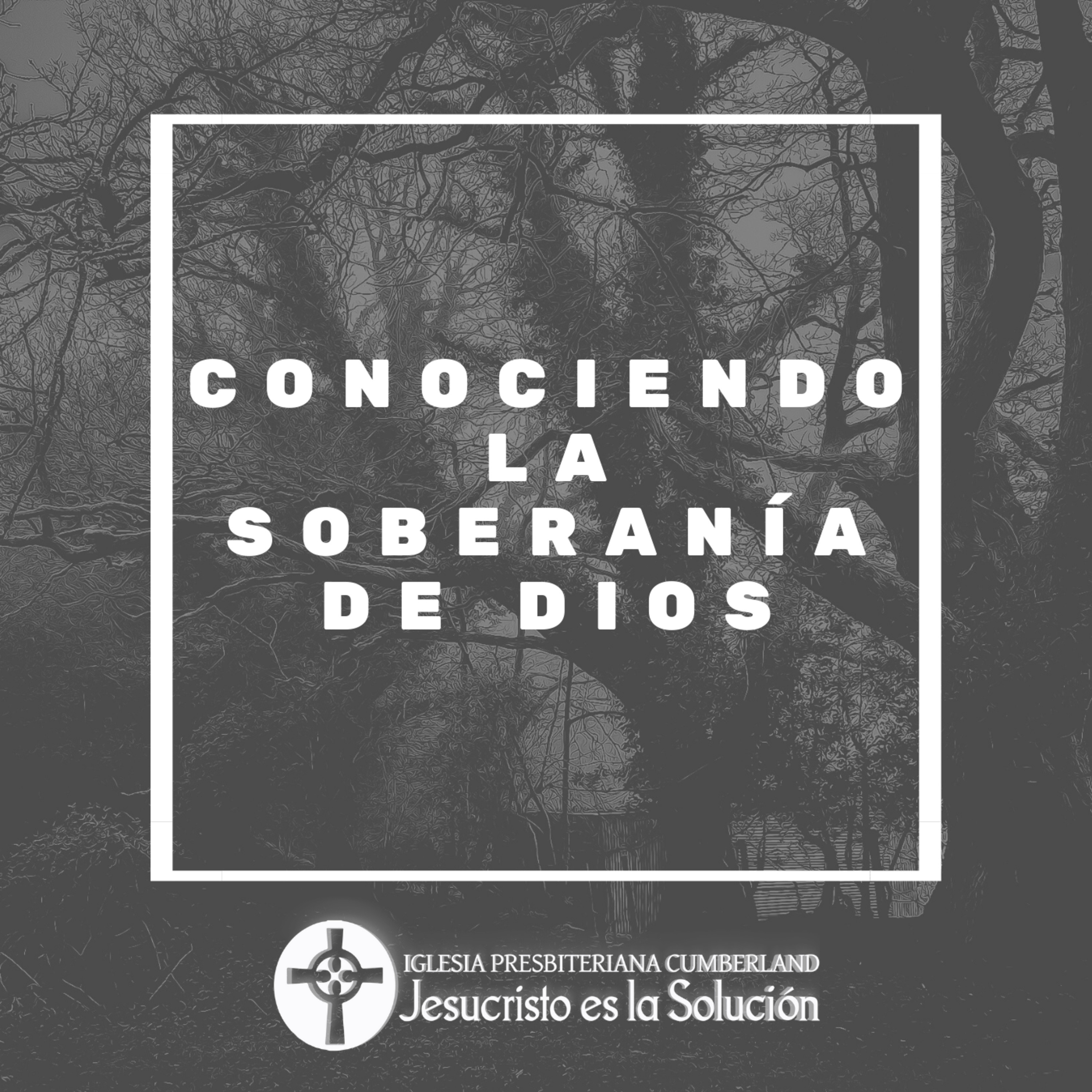 Jesucristo es la solución