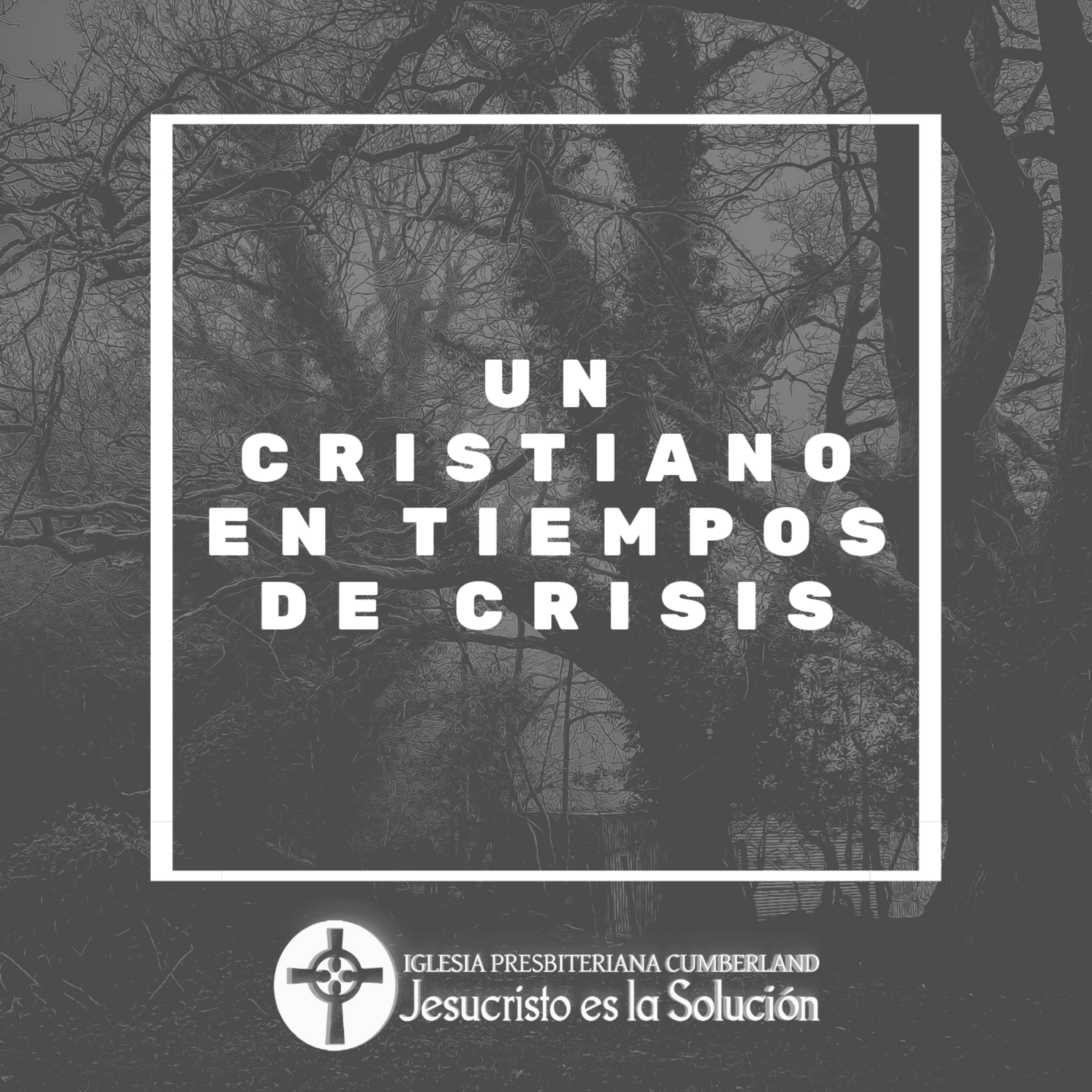 Jesucristo es la solución