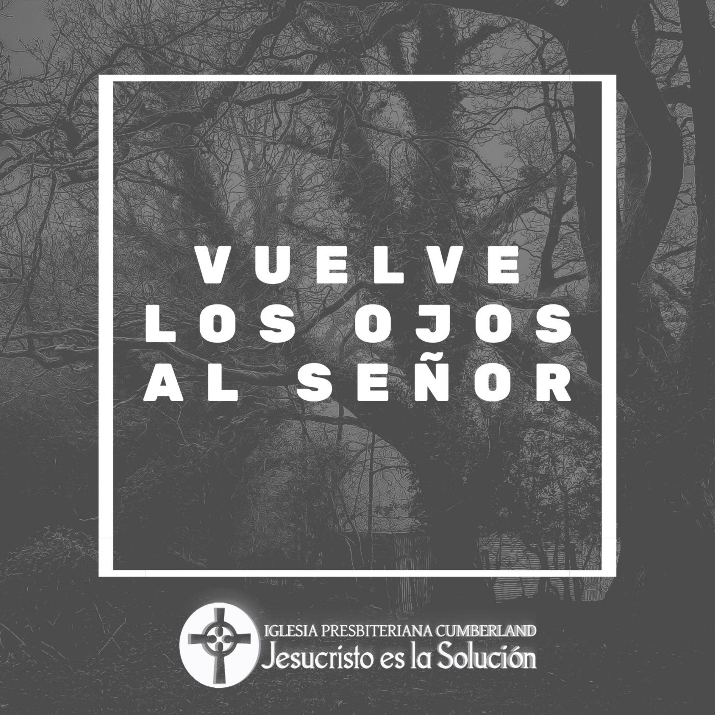 Jesucristo es la solución