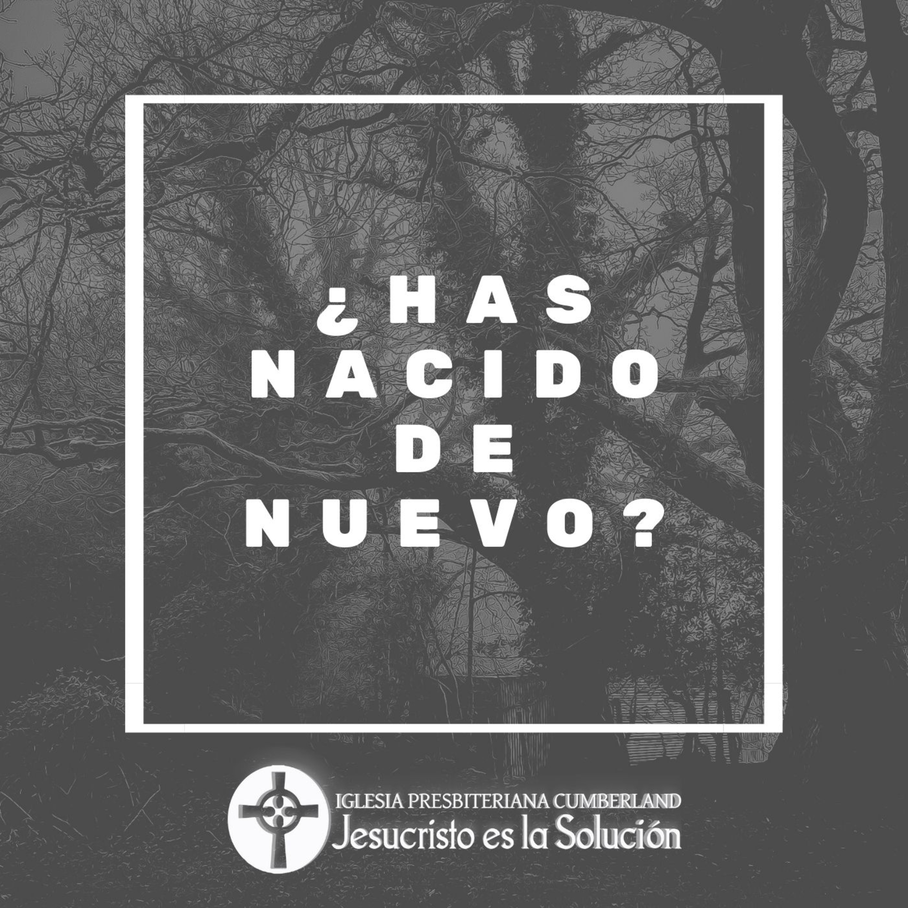 Jesucristo es la solución