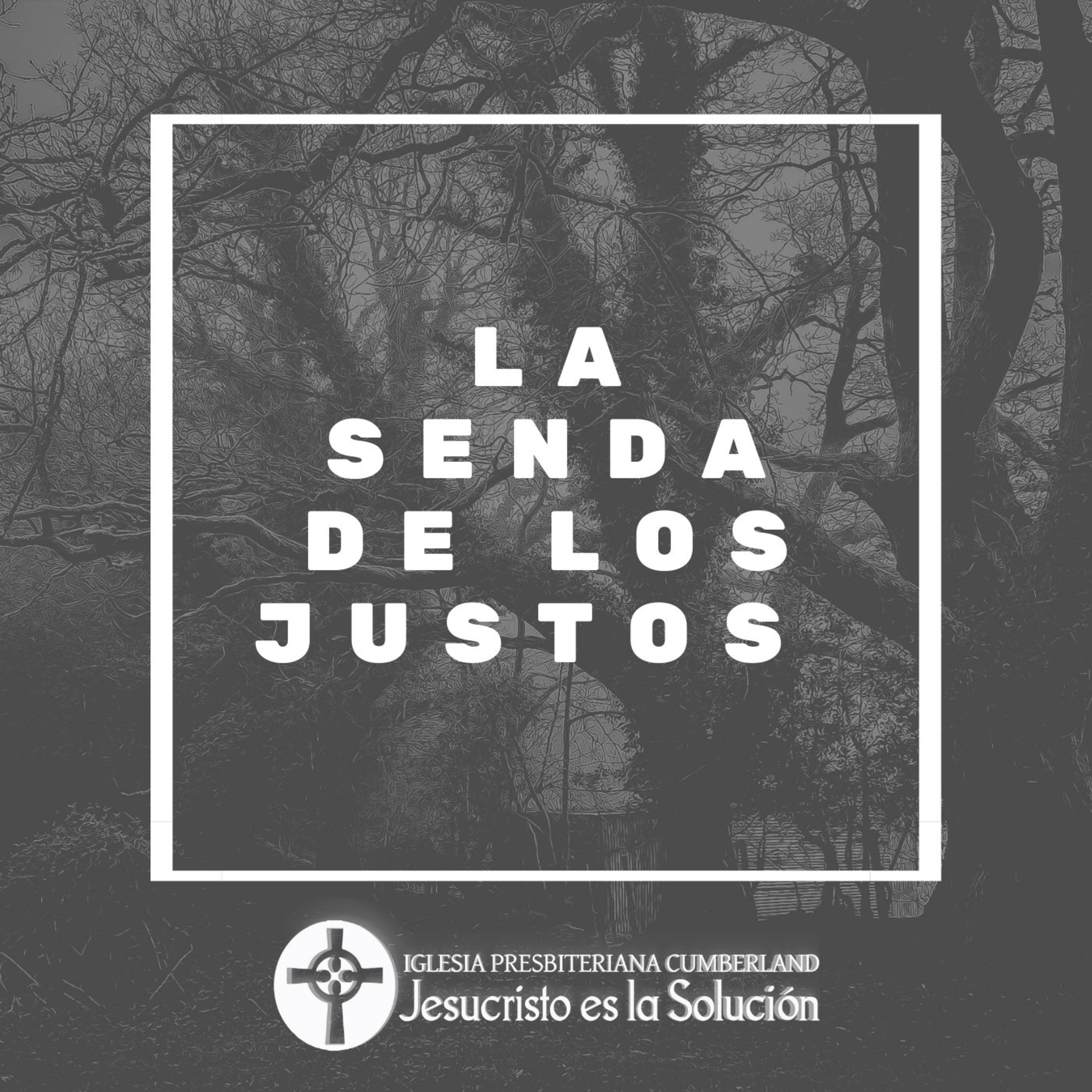 Jesucristo es la solución