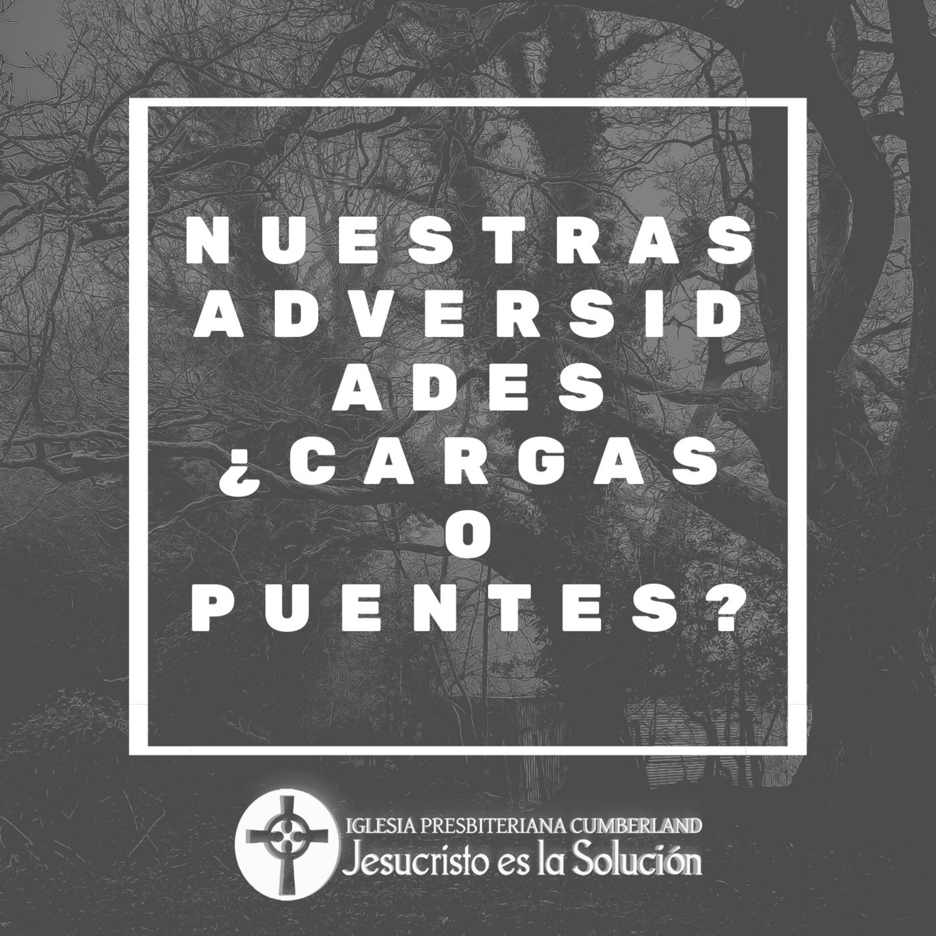 Jesucristo es la solución