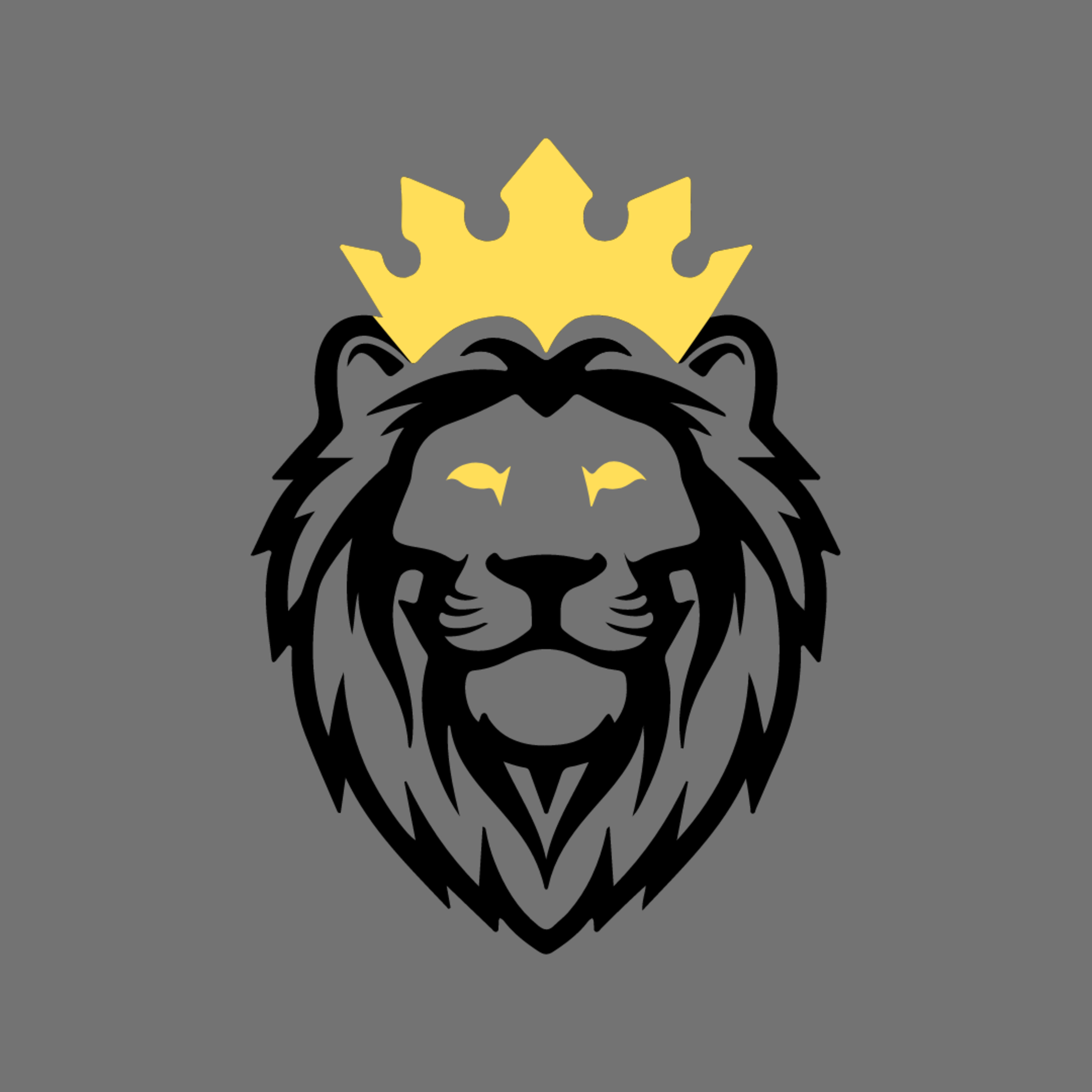 Young Lion\'s Perspective