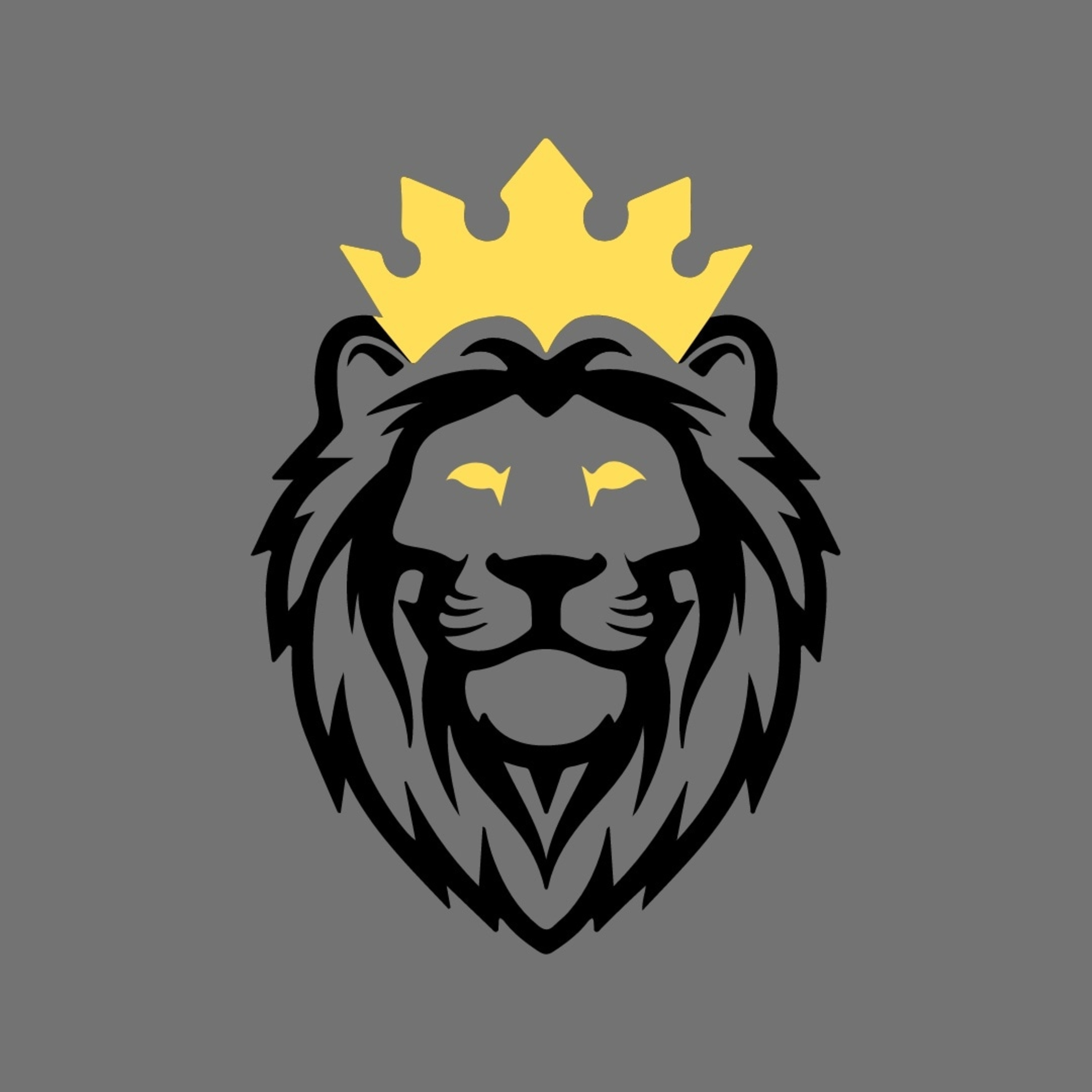 Young Lion\'s Perspective