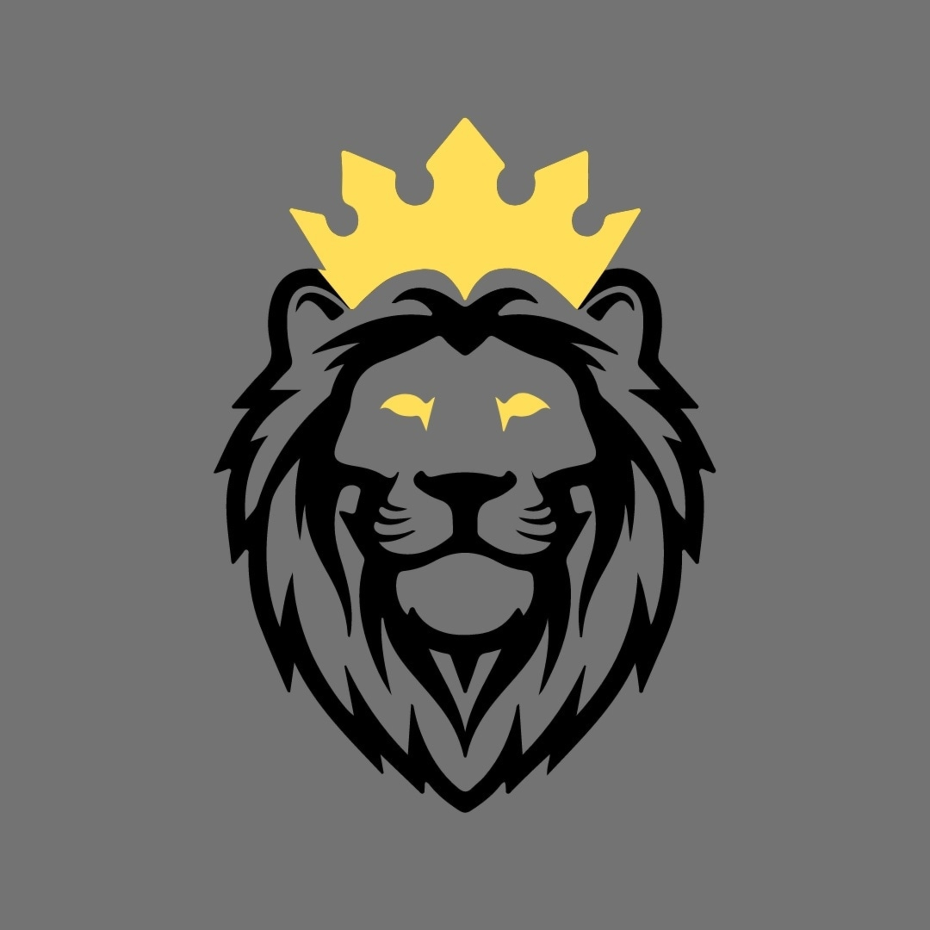 Young Lion\'s Perspective
