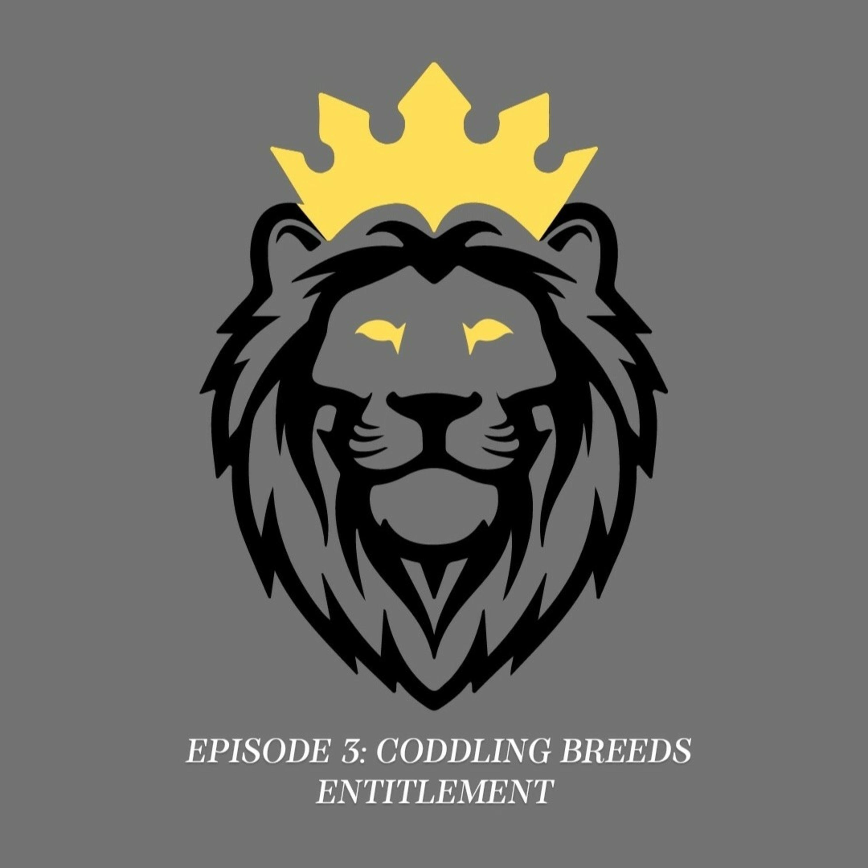 Young Lion\'s Perspective