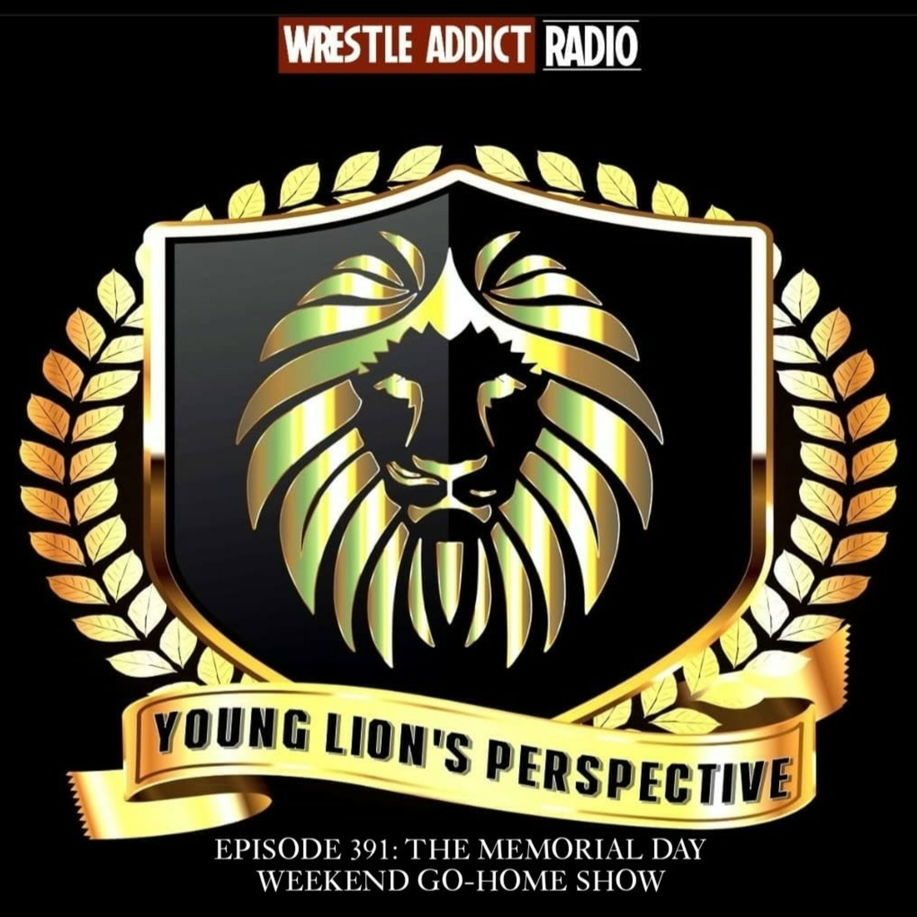 YLP Podcast - Ep. 391: The Memorial Day Weekend Go-Home Show  episode artwork