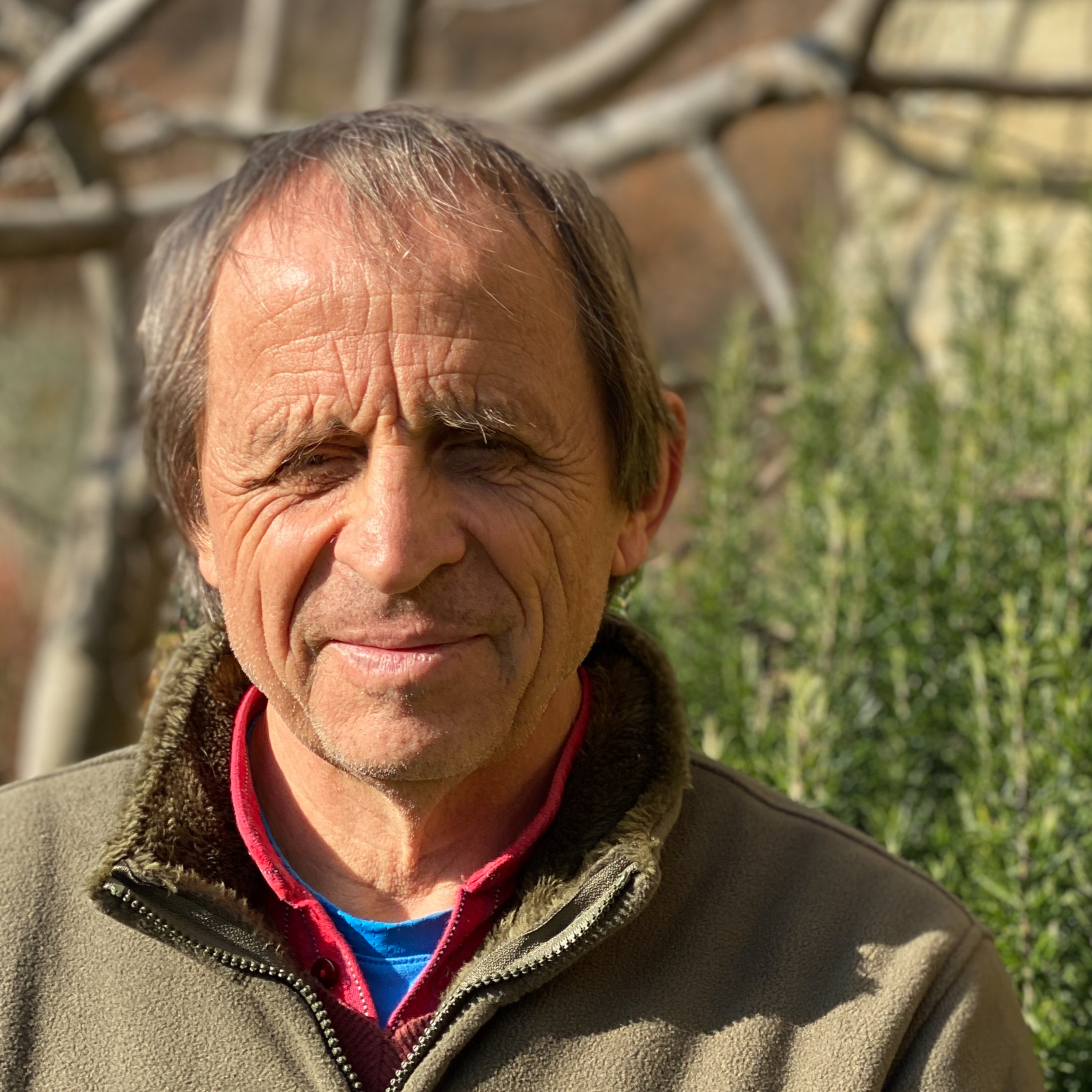 Wolfgang Fasser Deutsch