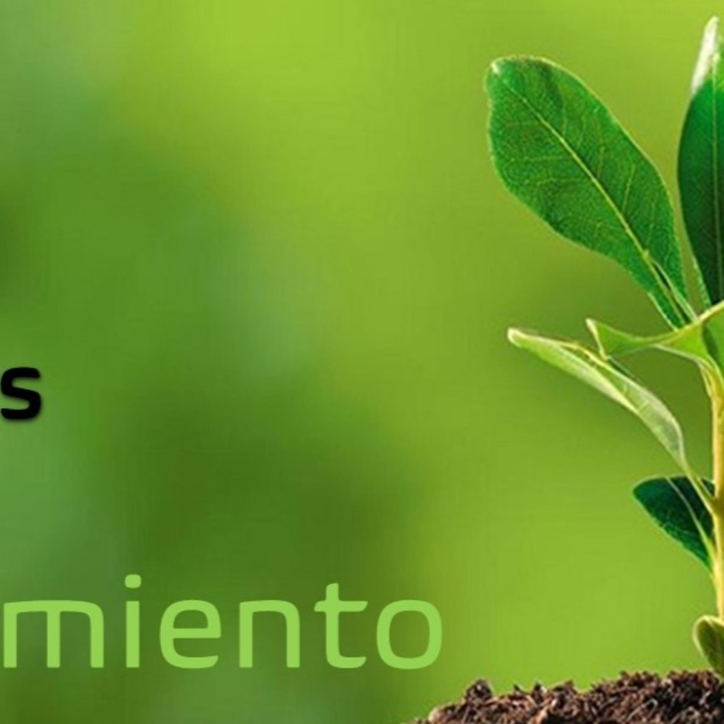 Reflexiones con Propósito