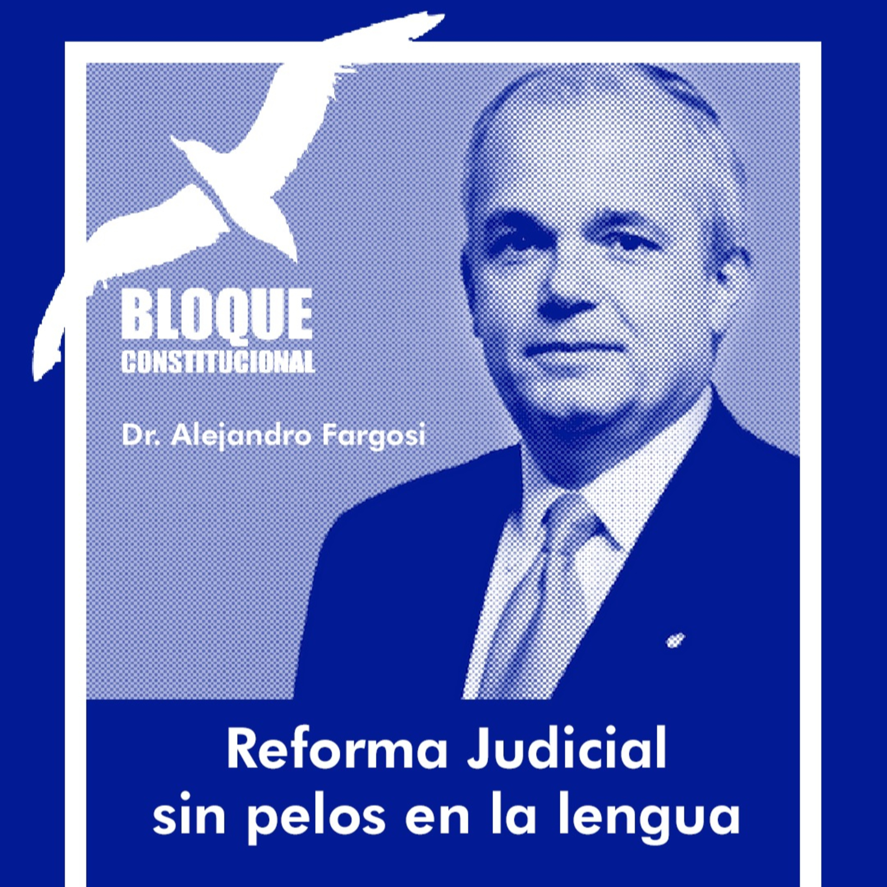 Charlas en Bloque - Los mejores especialistas del Derecho Argentino