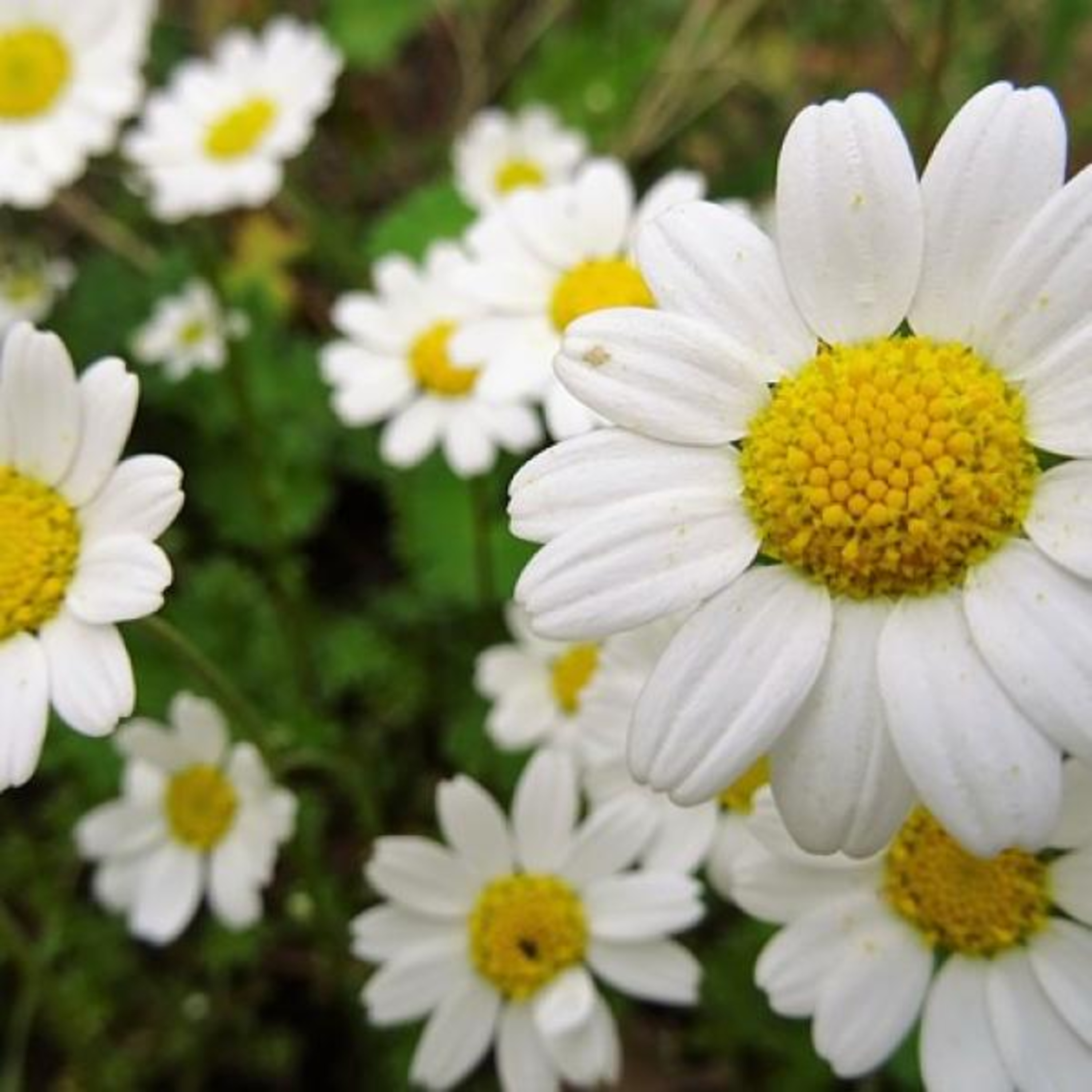 HISTORIAS AUNQUE ES DE NOCHE