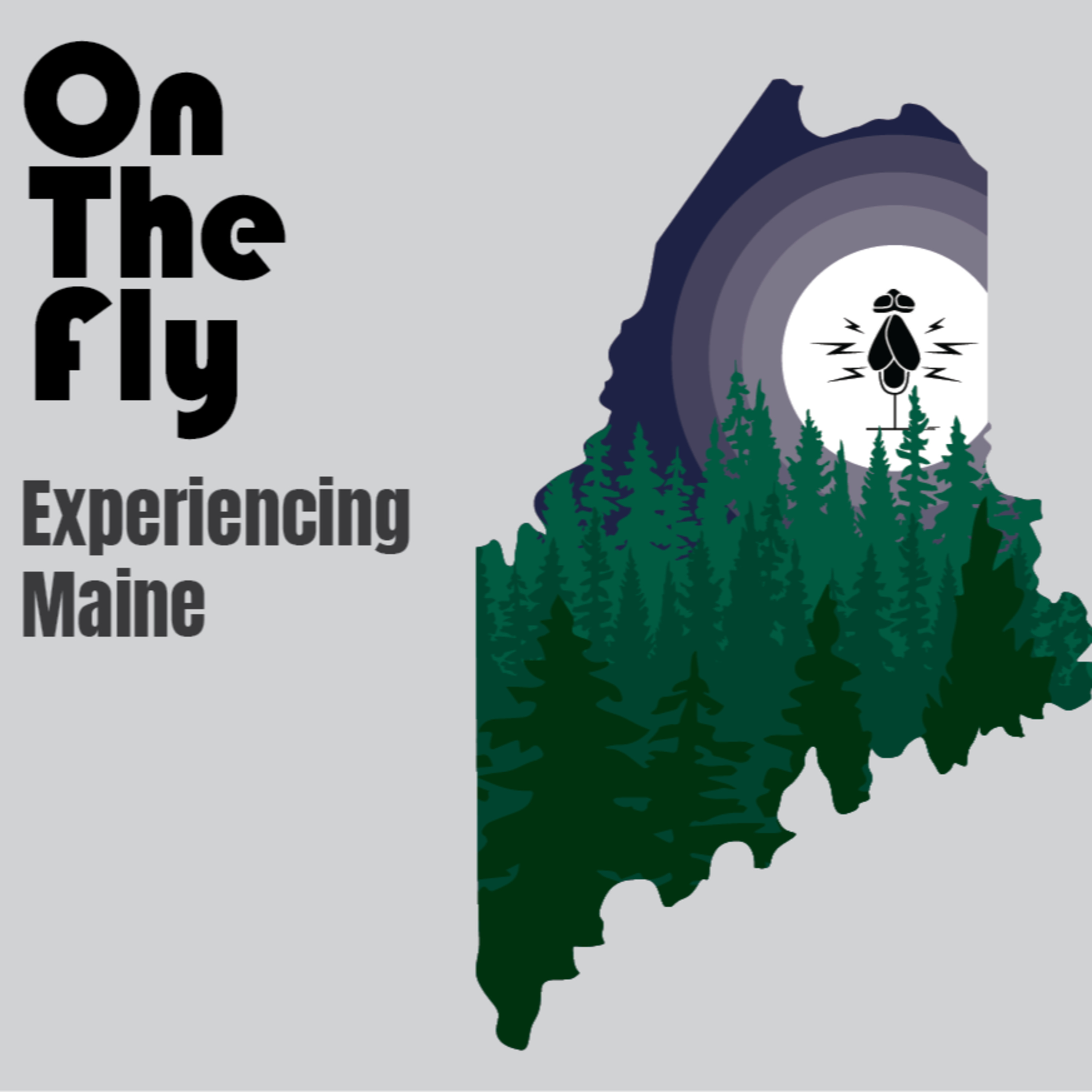 On The Fly