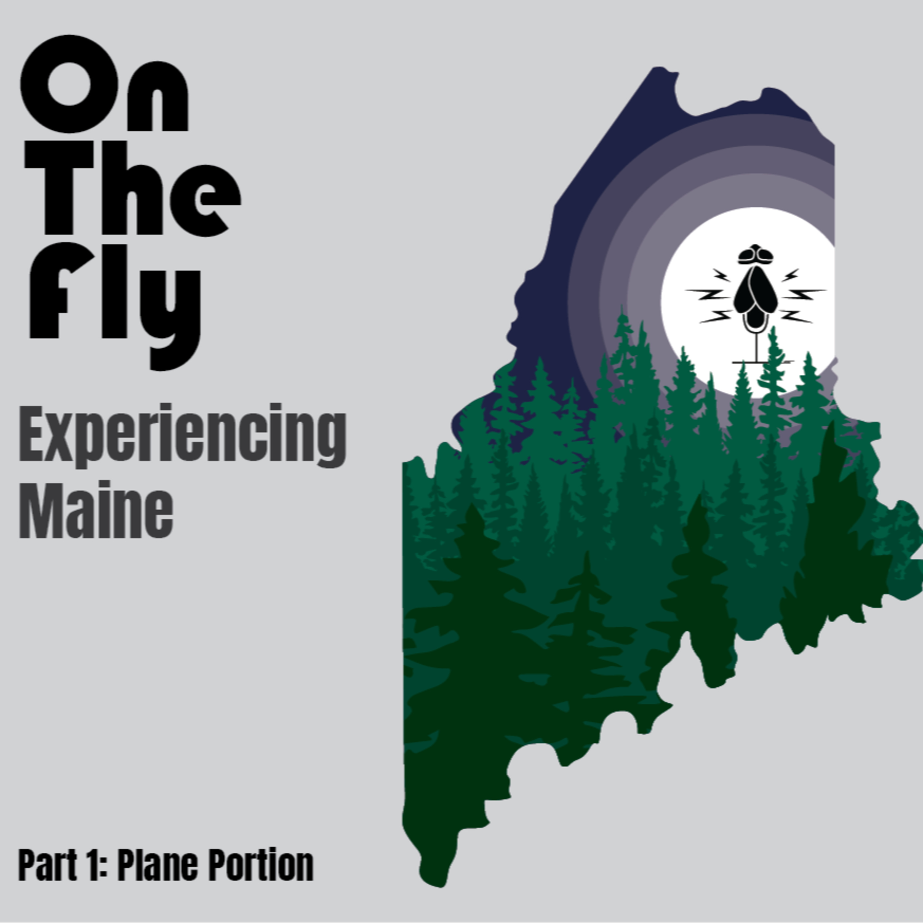 On The Fly