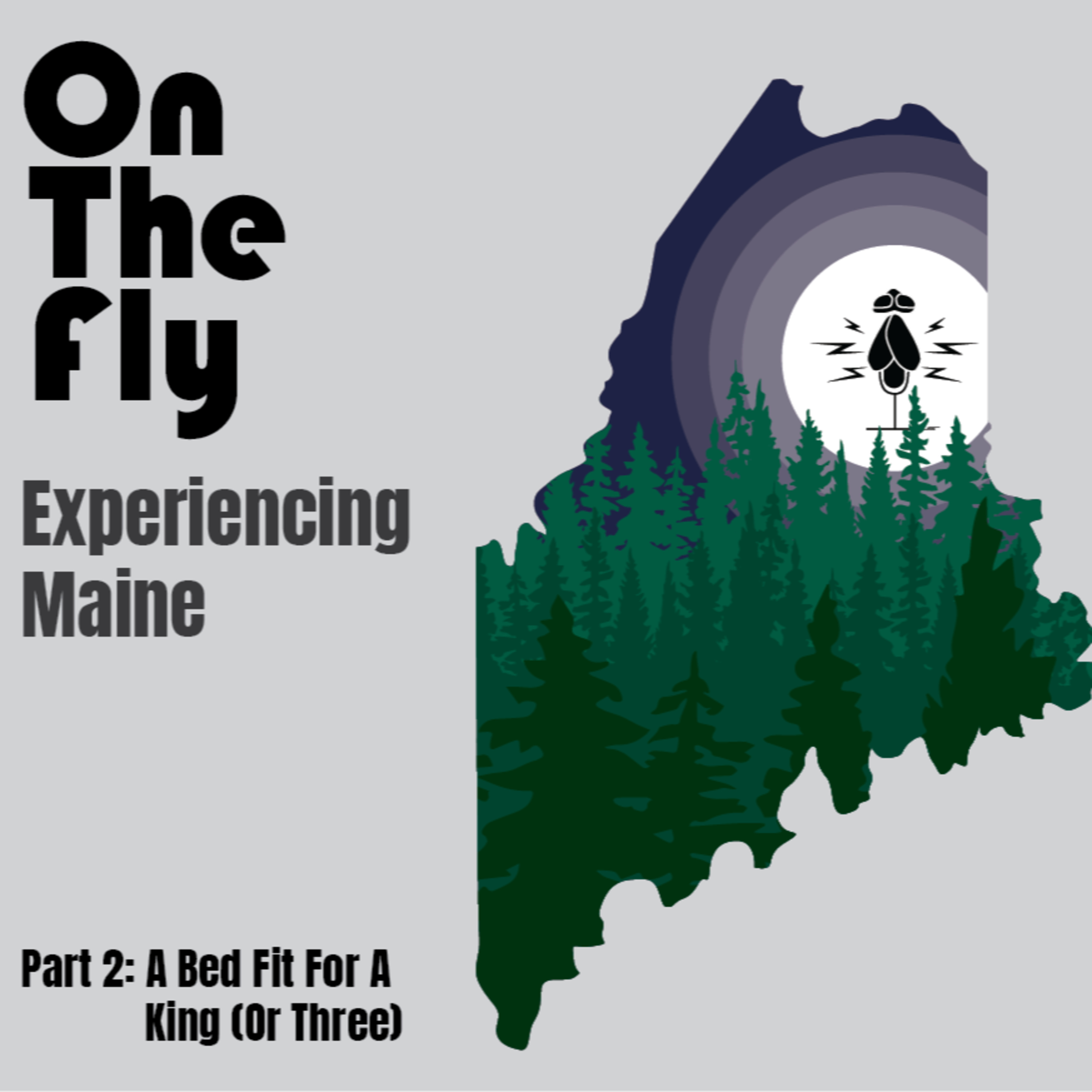 On The Fly