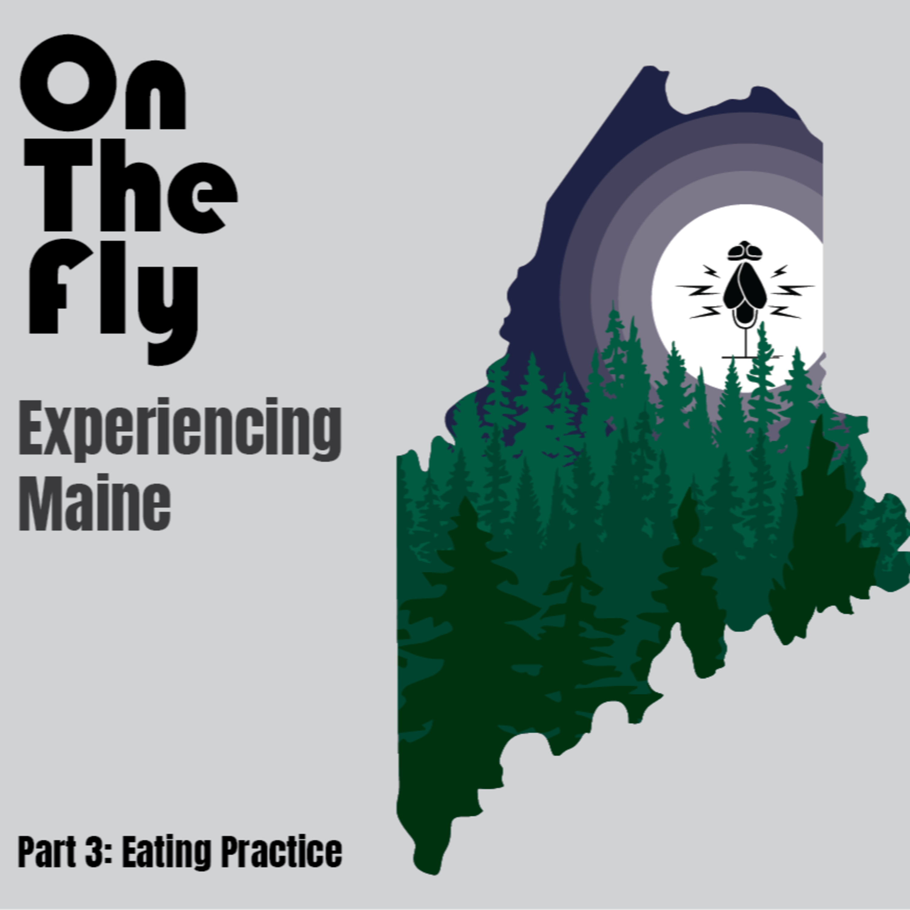 On The Fly